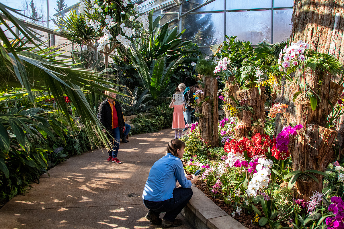  Hughes Conservatory with orchids and people