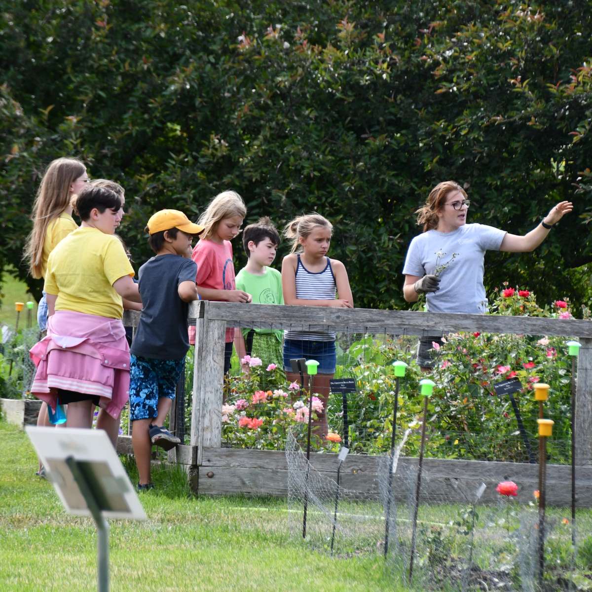 Youth in a garden with teacher