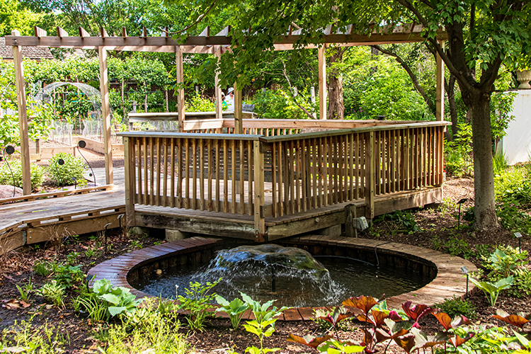 Reflection Garden with a wood deck with a wood pergola and a water feature with colorful plants