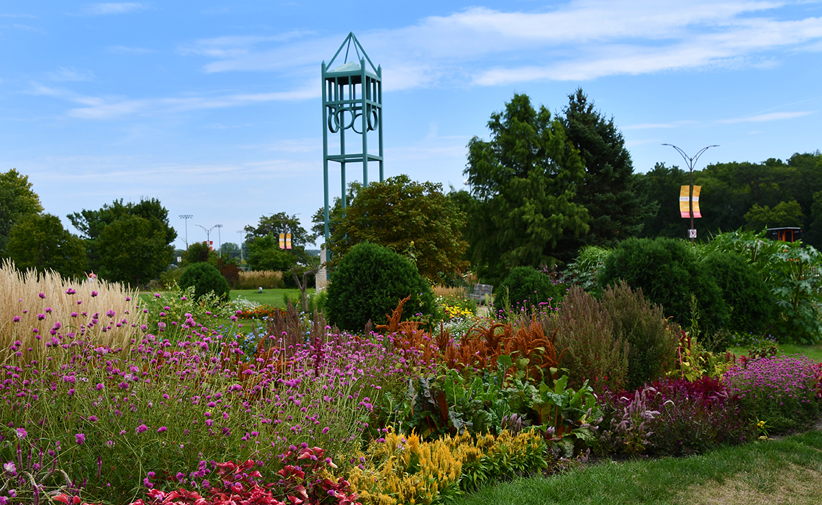  Campanile Garden during late summer with brown grasses and colorful flowers
