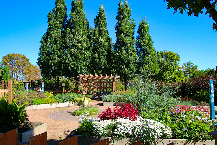  Herb Garden with tall trees, pergola, and colorful flowers