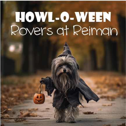 Dog in Halloween costume