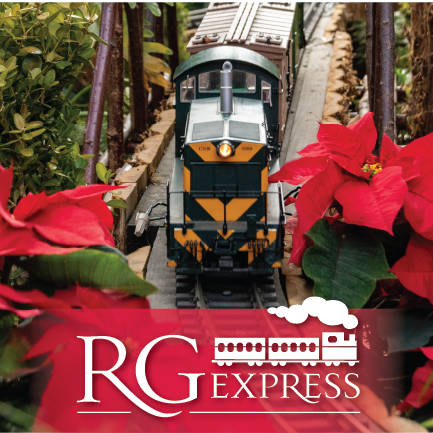 Garden Scale Train 