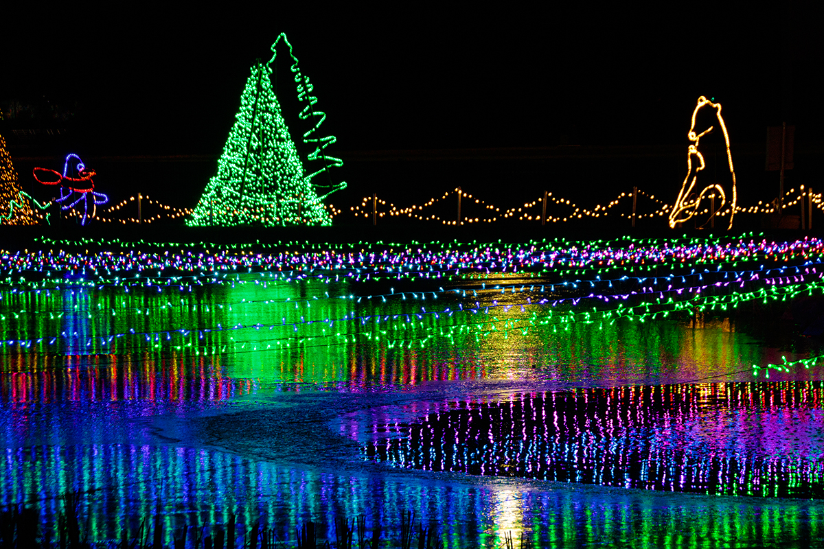 Holiday Lights over lake