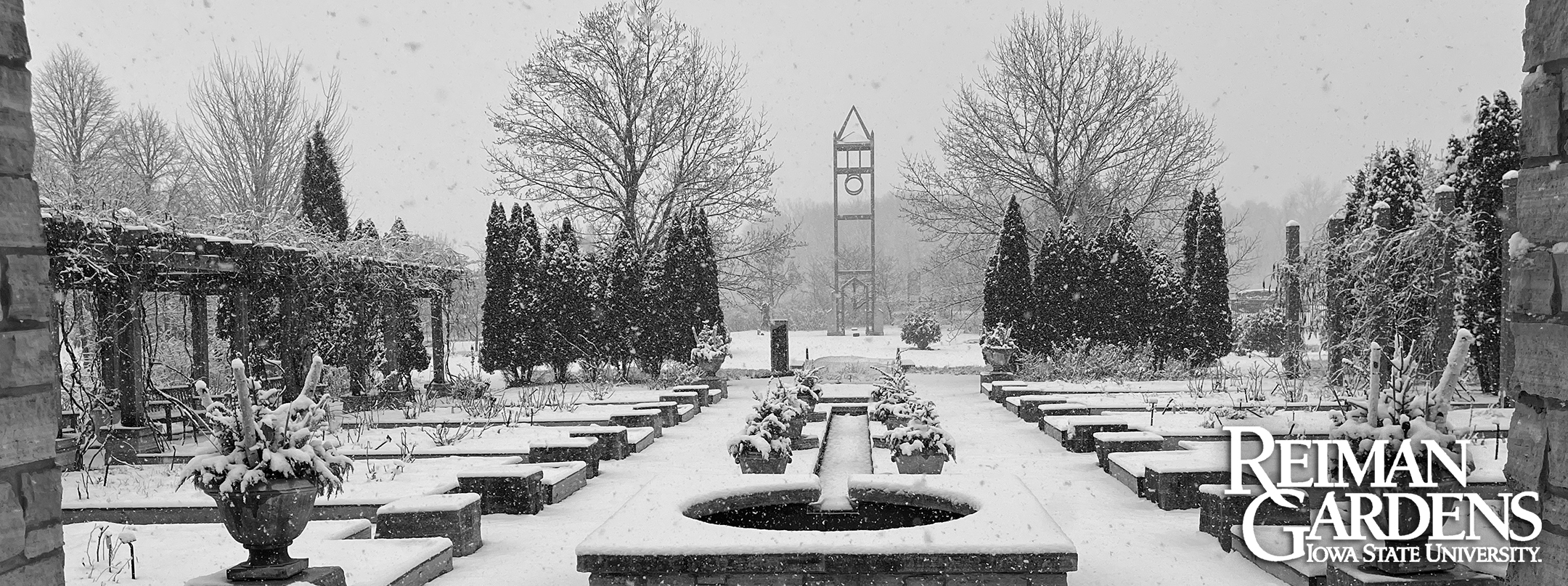 snow falling on plants at Reiman Gardens