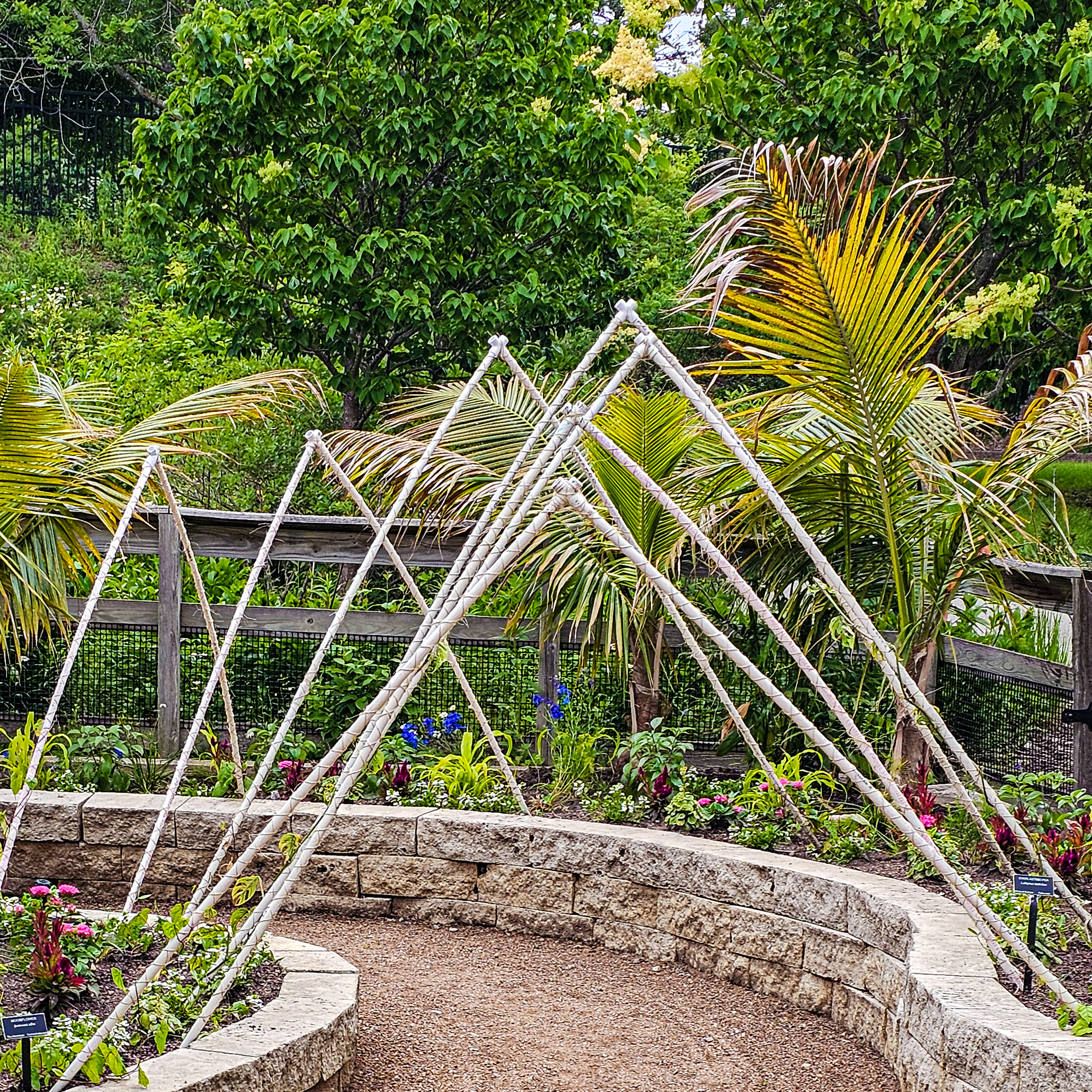 Arched poles form a structure in a tropical garden