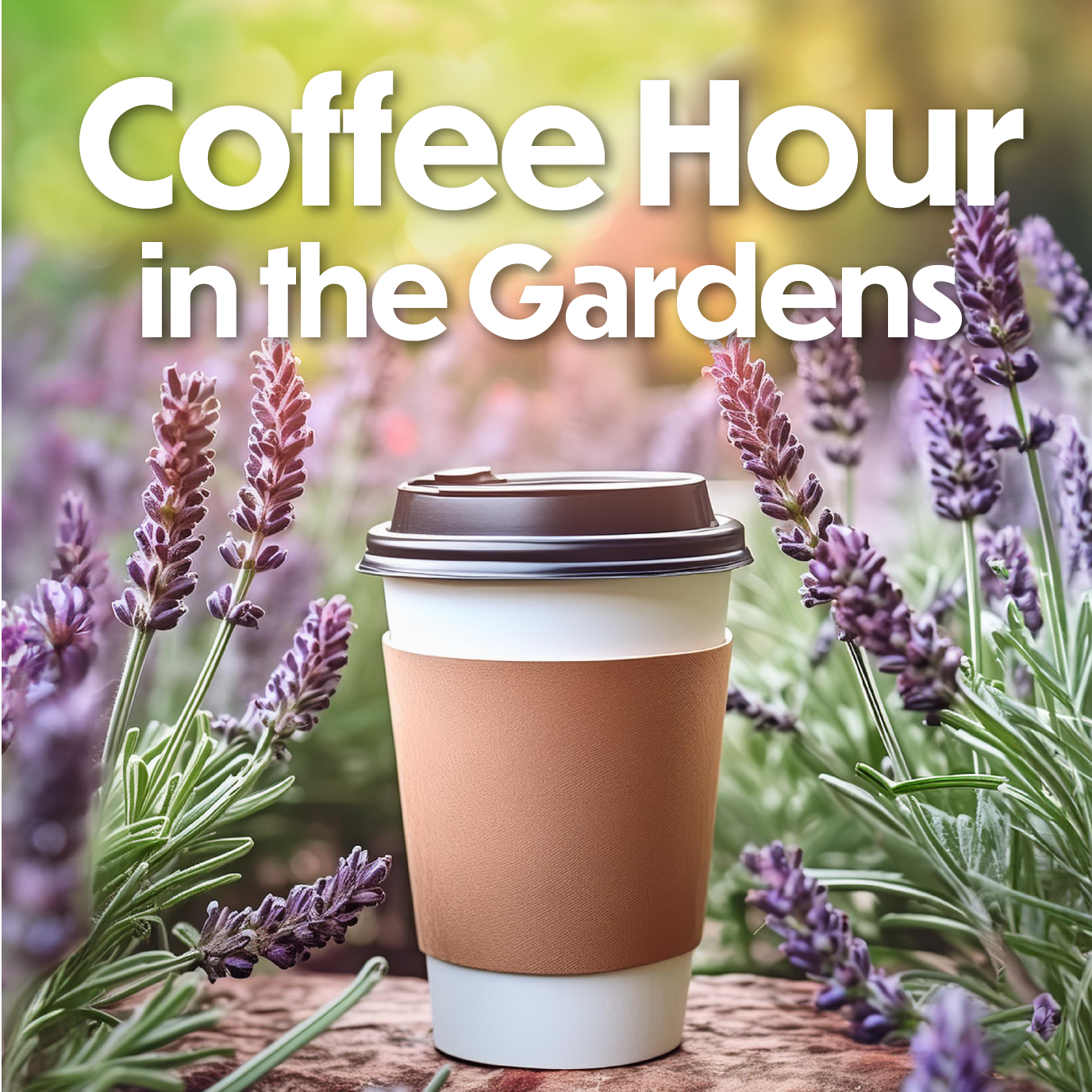 coffee in disposable cup in a garden with lavender 