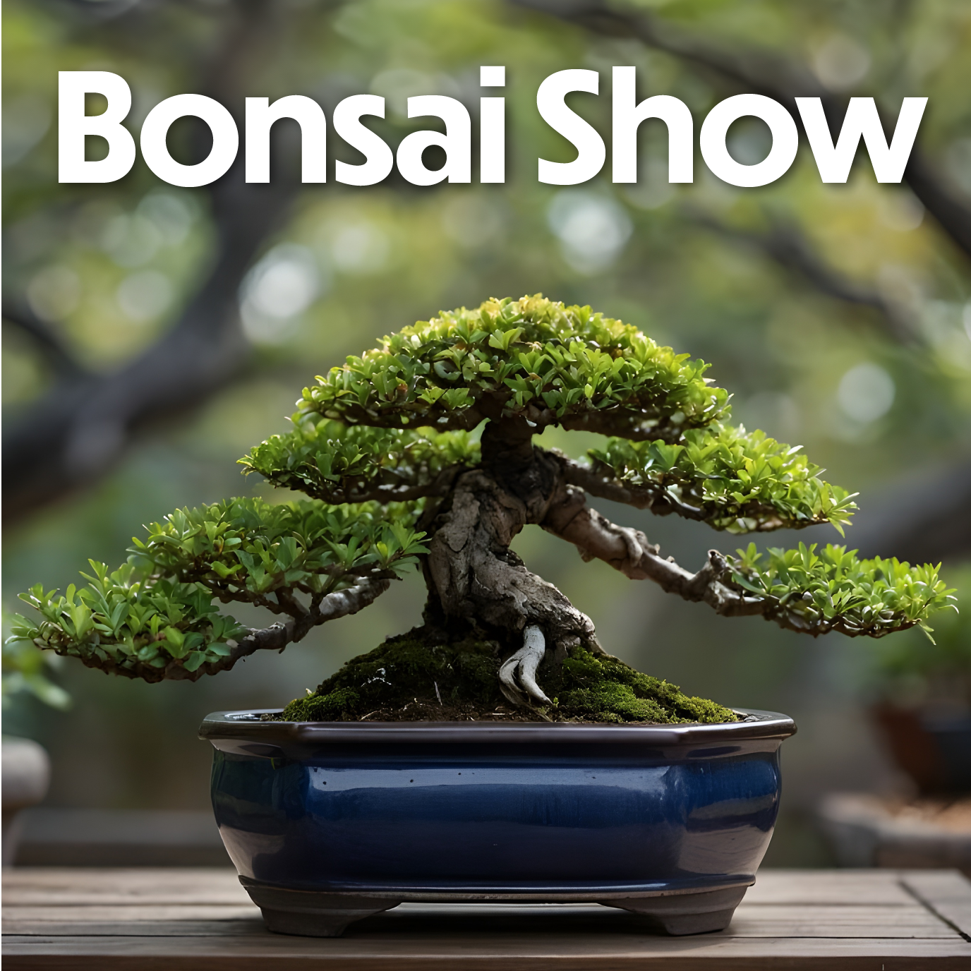 Bonsai Show