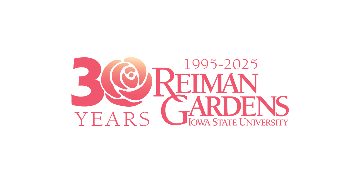 30th Anniversary Logo