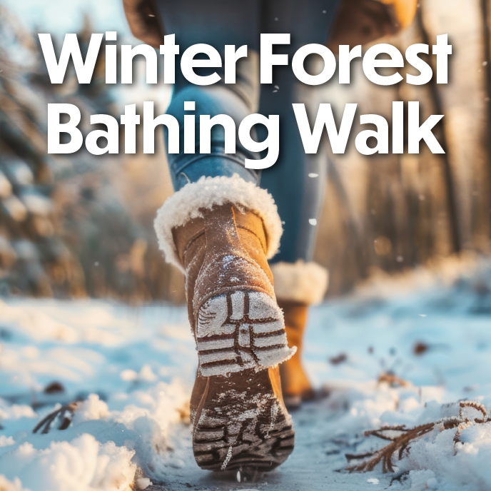 Winter Forest Bathing Walk