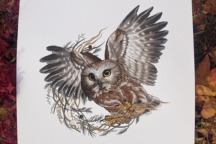 painting of an owl