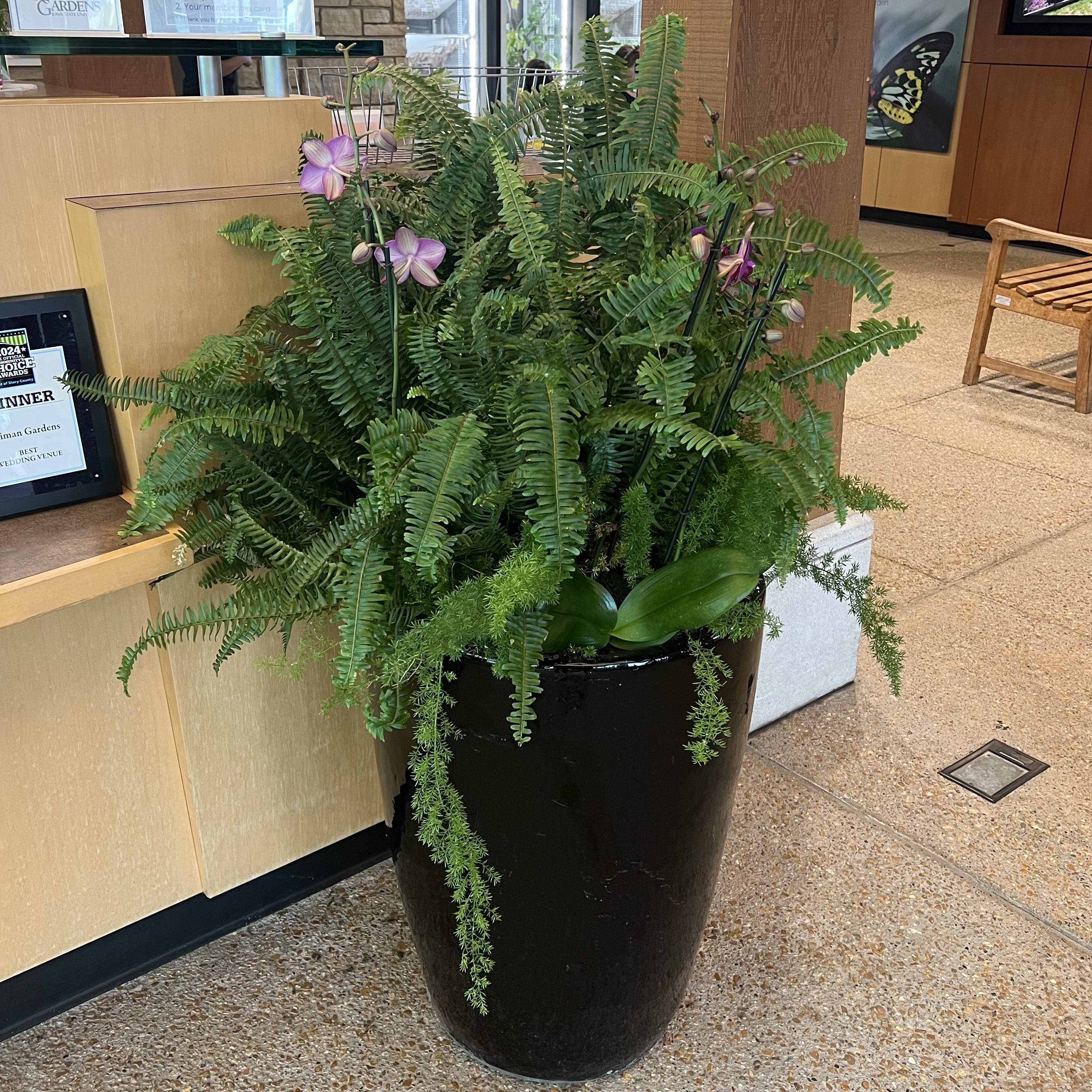 A sleek planter overflowing with ferns and orchids