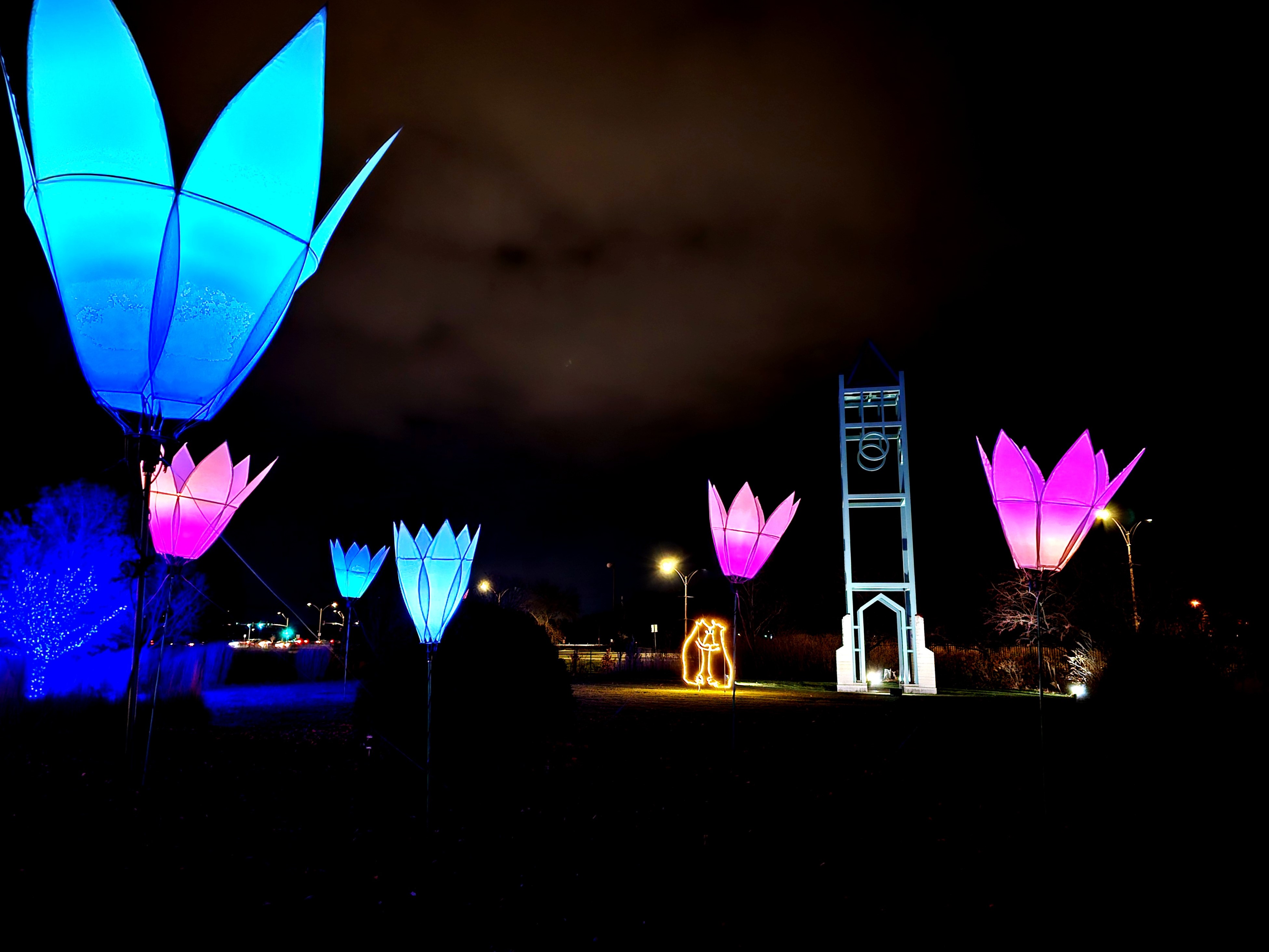 Color Changing Flowers Winter Wonderscape