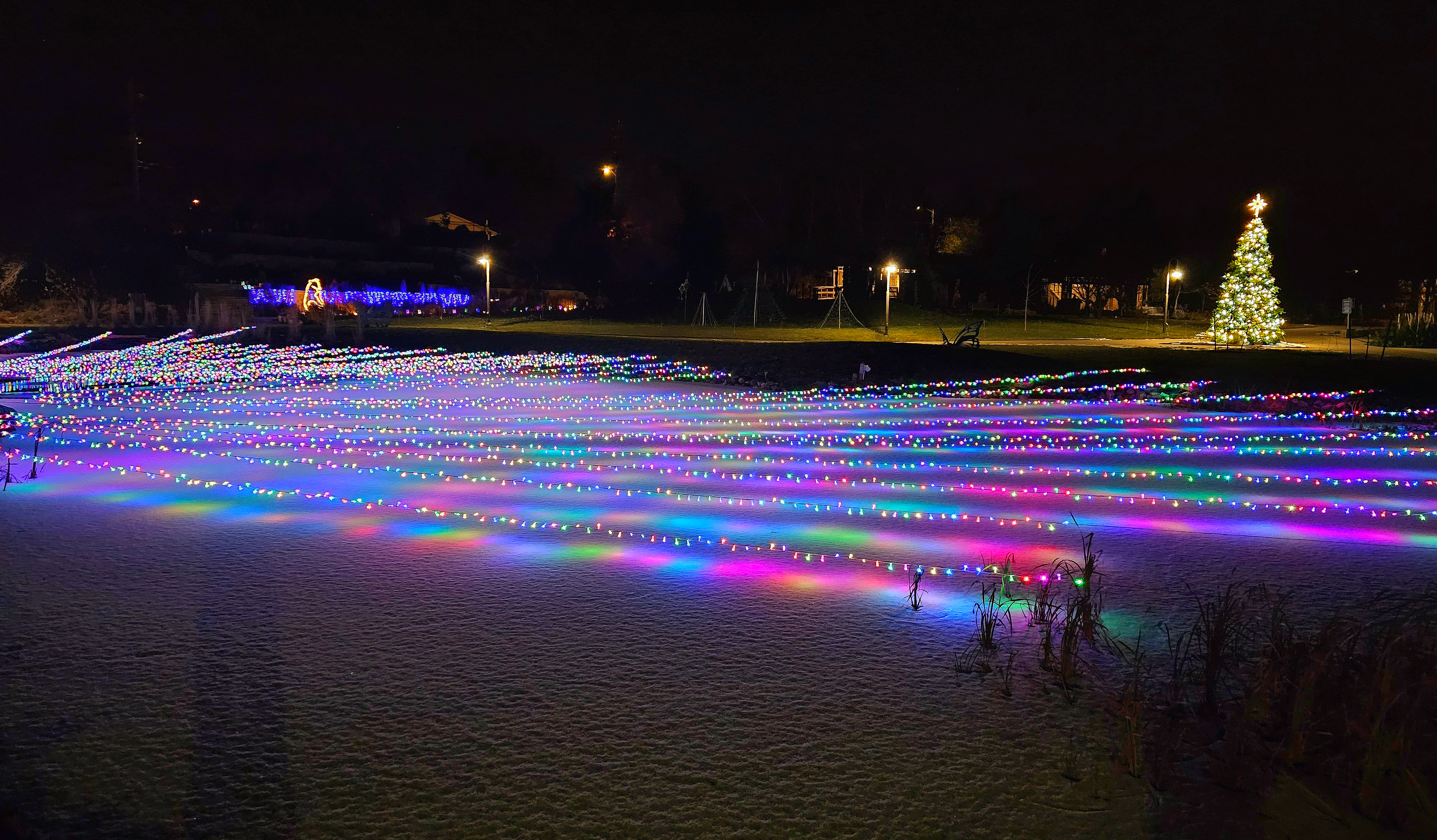 Lake Helen Winter Wonderscape