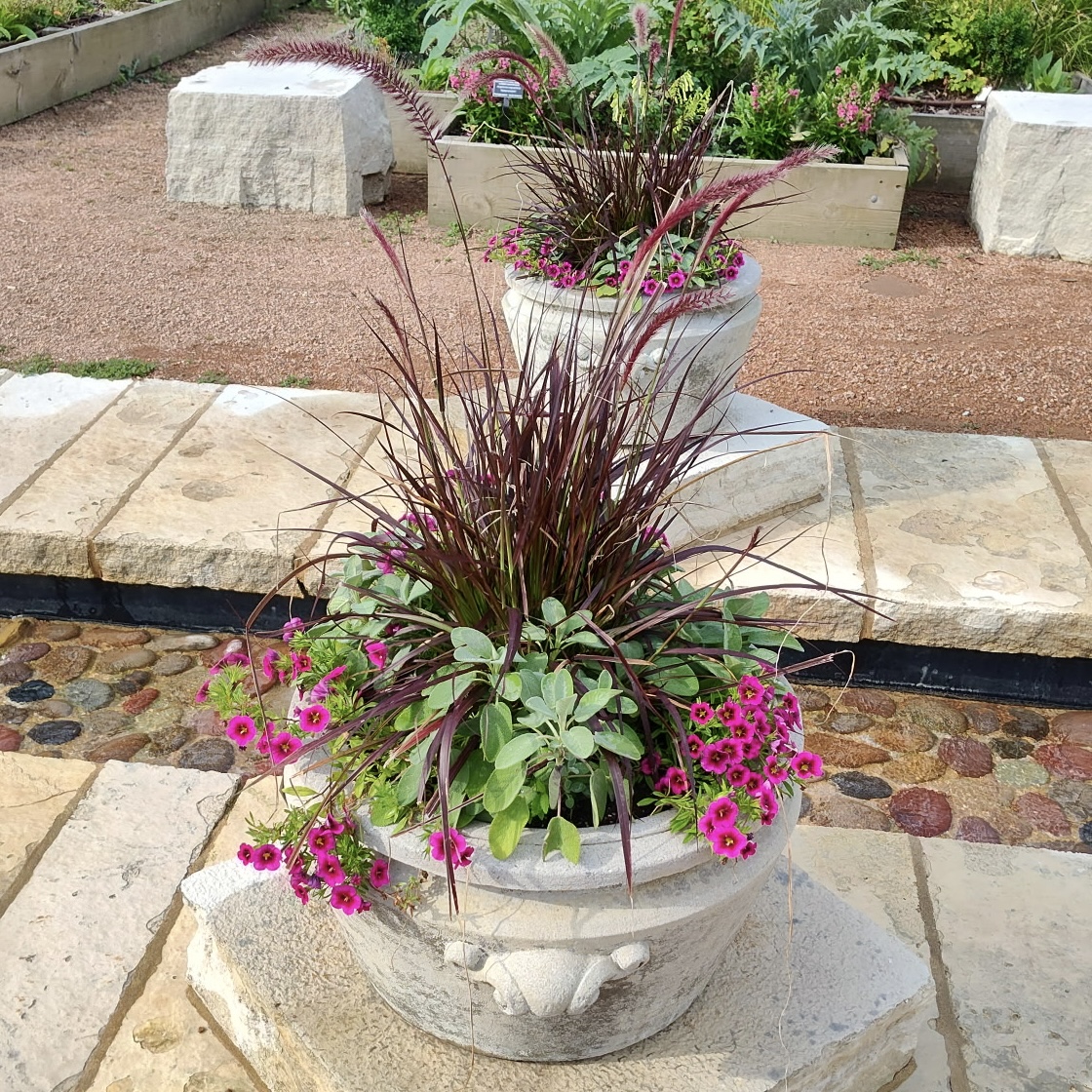 small containers with colorful grasses and flowers