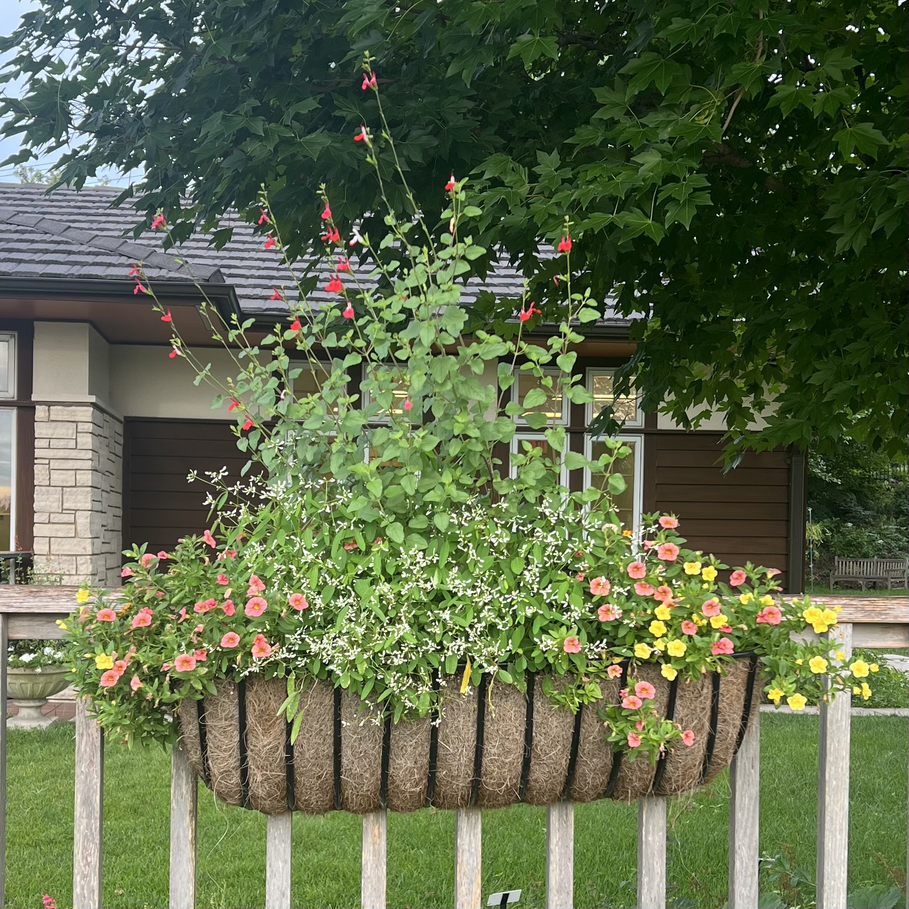 hanging baskets on the fence with colorful flowers