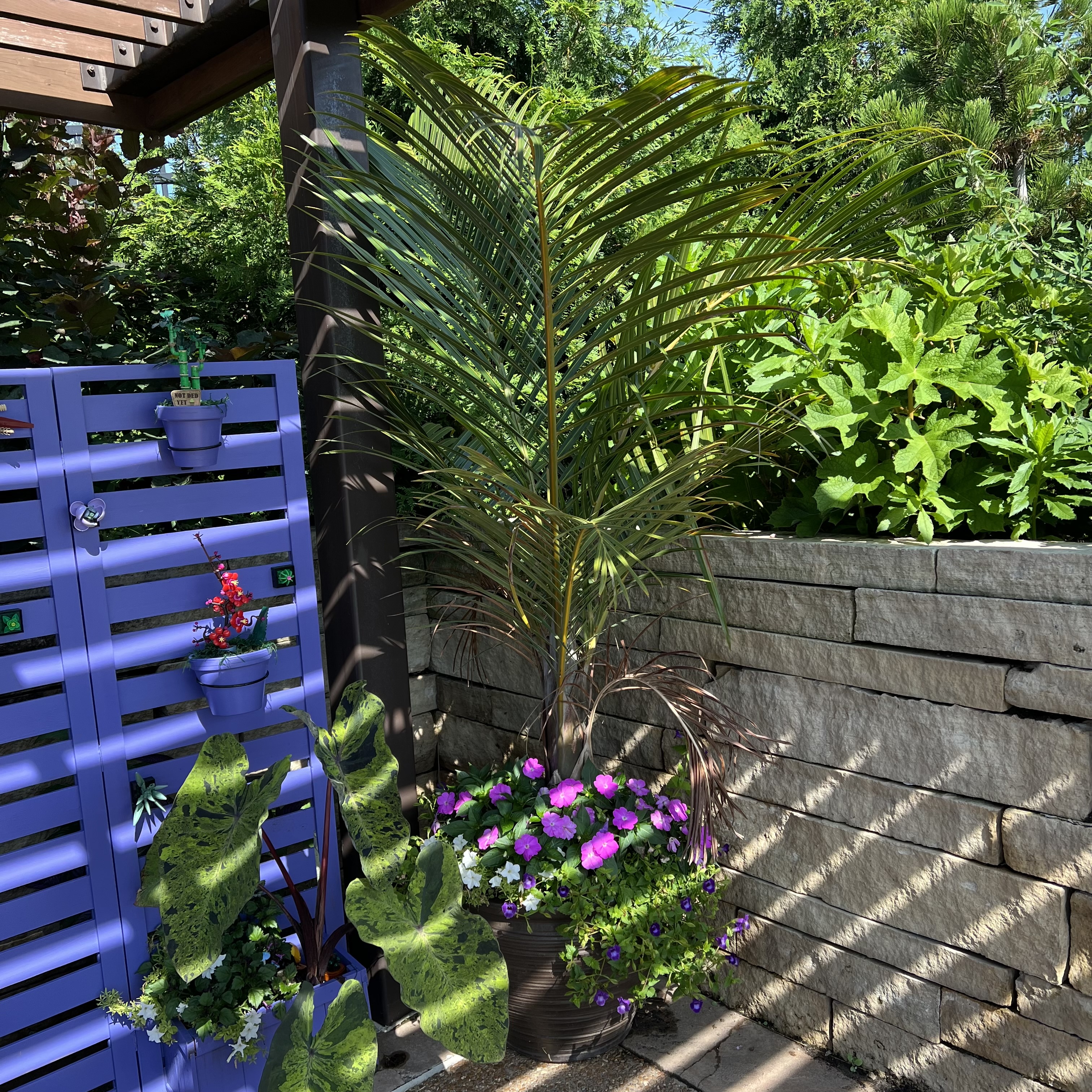 A container with a large palm and colorful flowers