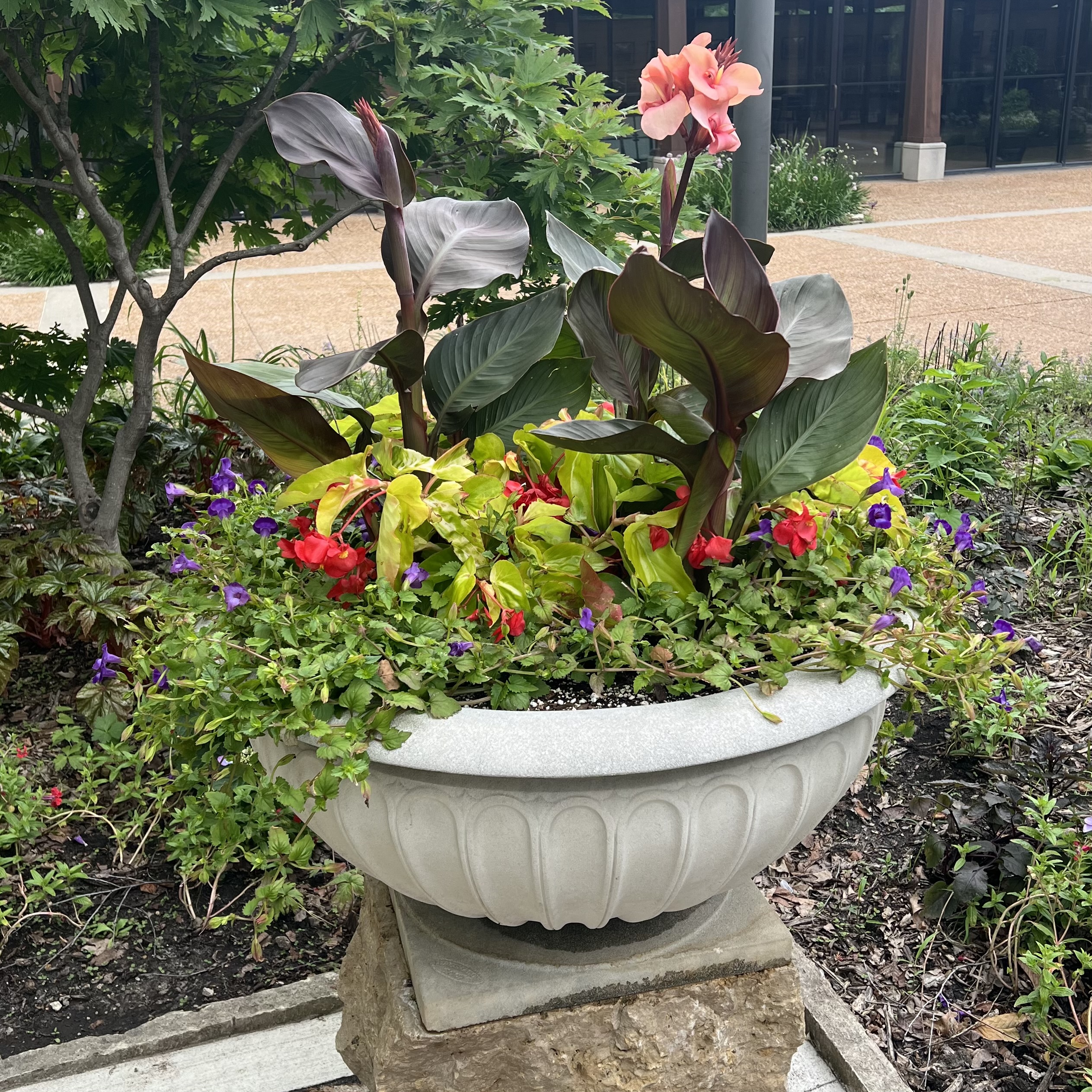 An elevated stone planter with canna lily and other colorful flowers
