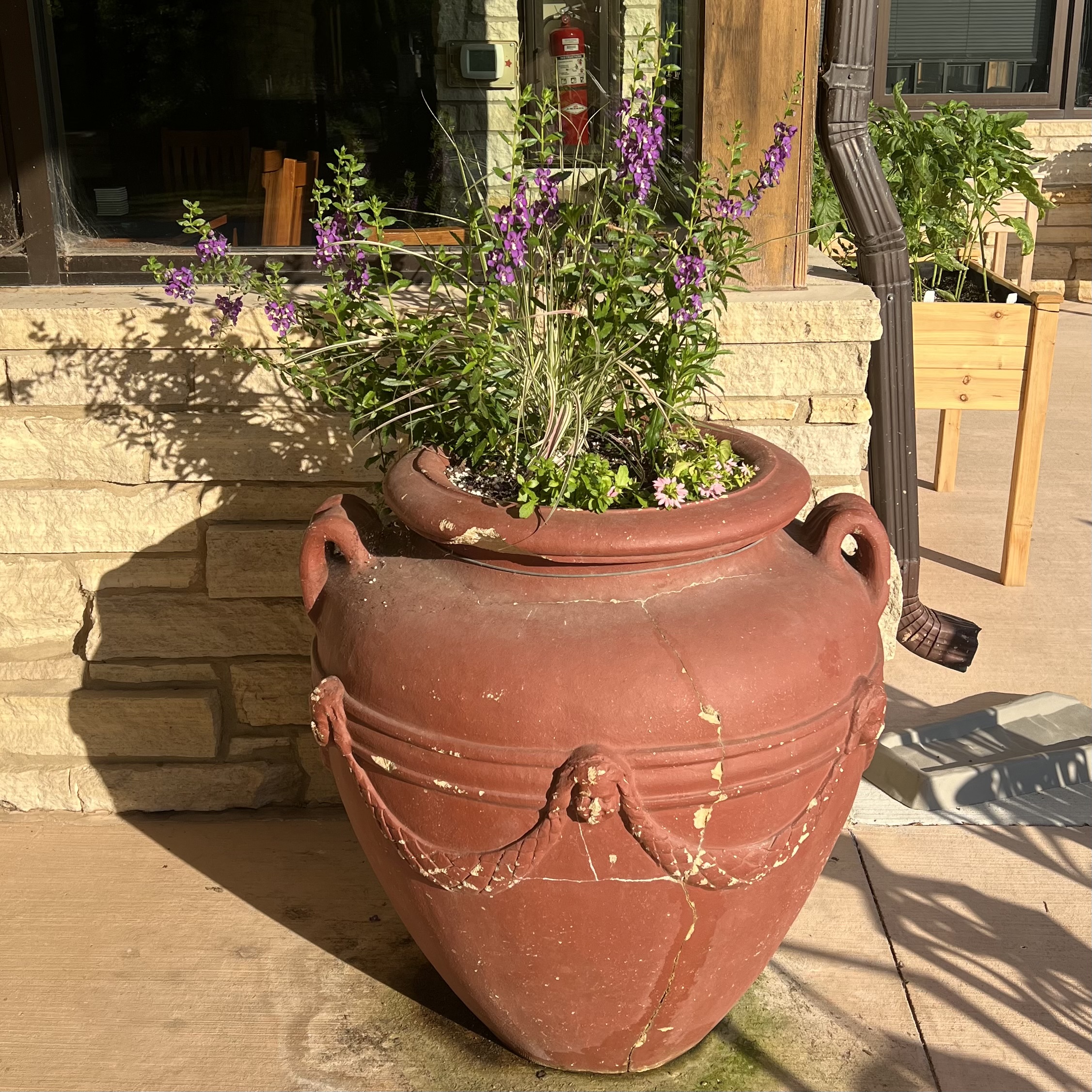A large urn with colorful flowers