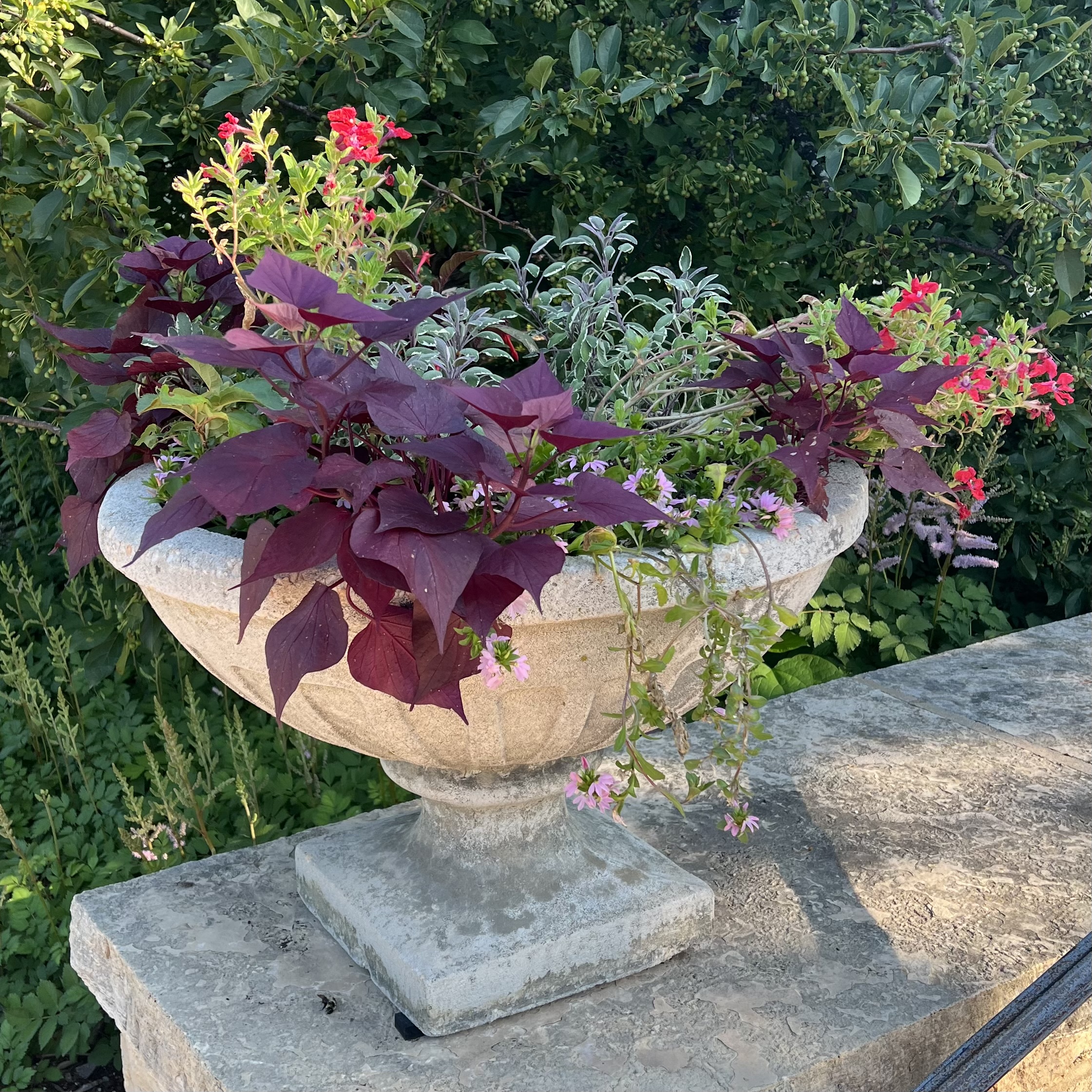 a small stone container with trailing plants and flowers