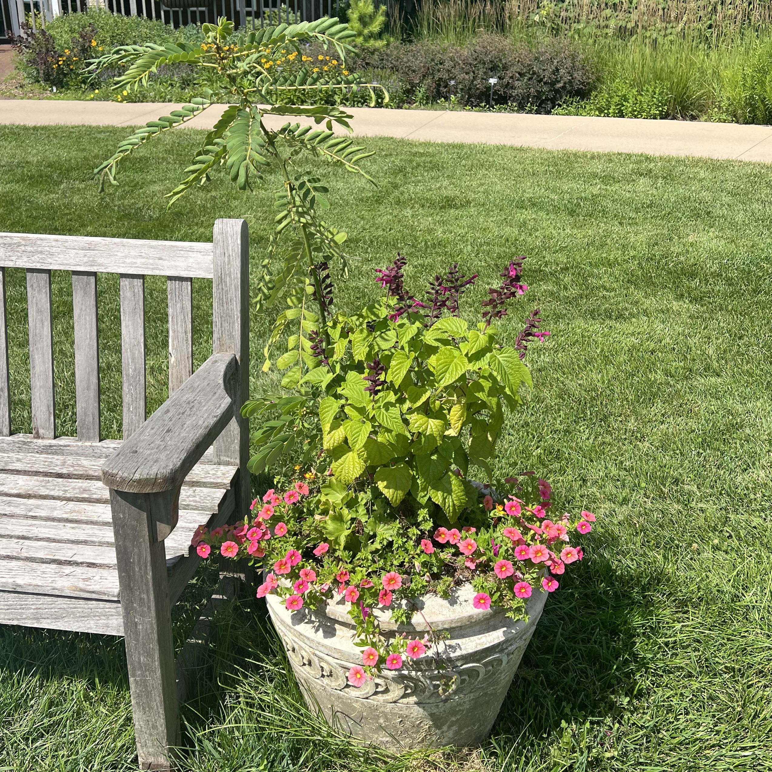a stone container with tall foliage and colorful flowers