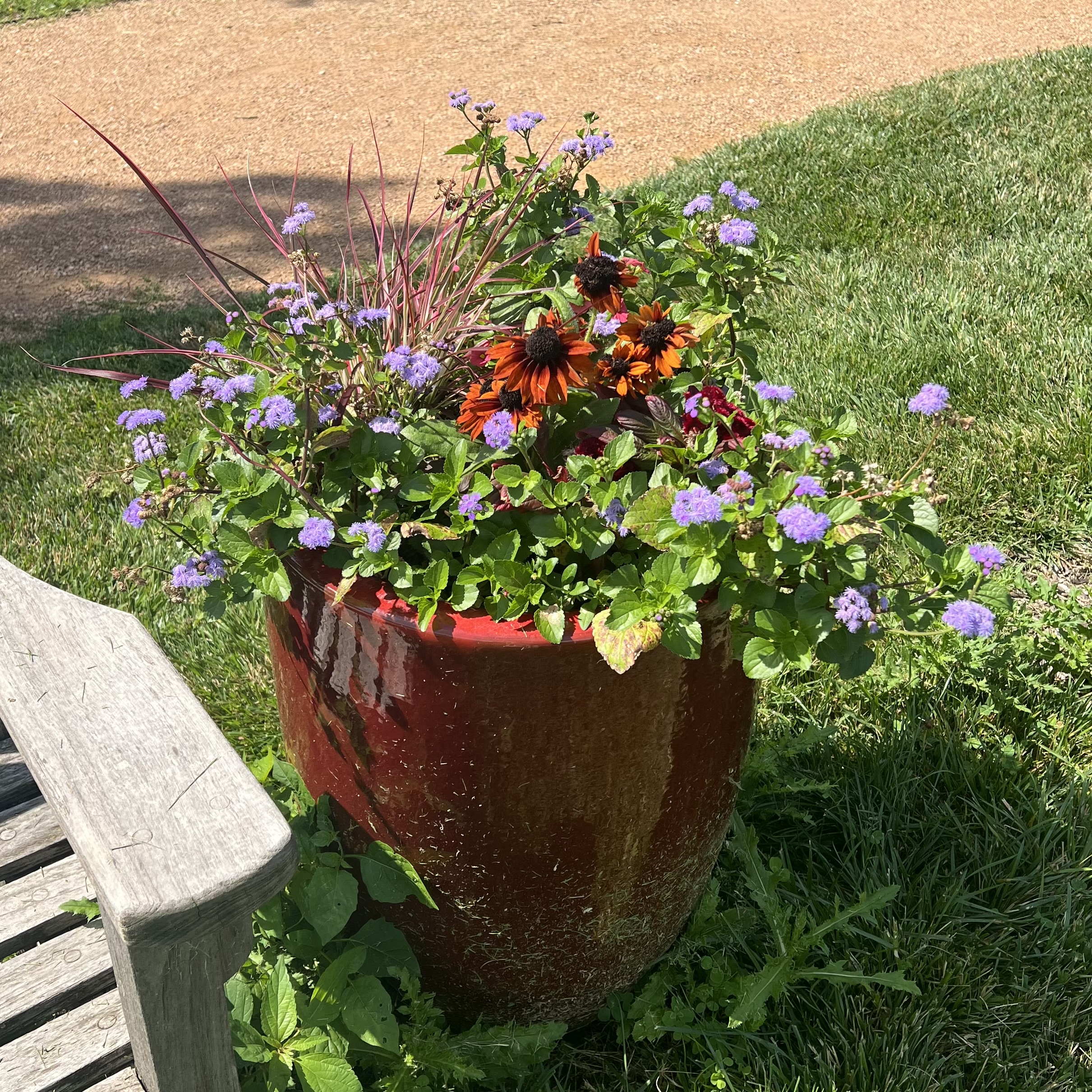 A red container with various colorful flowers