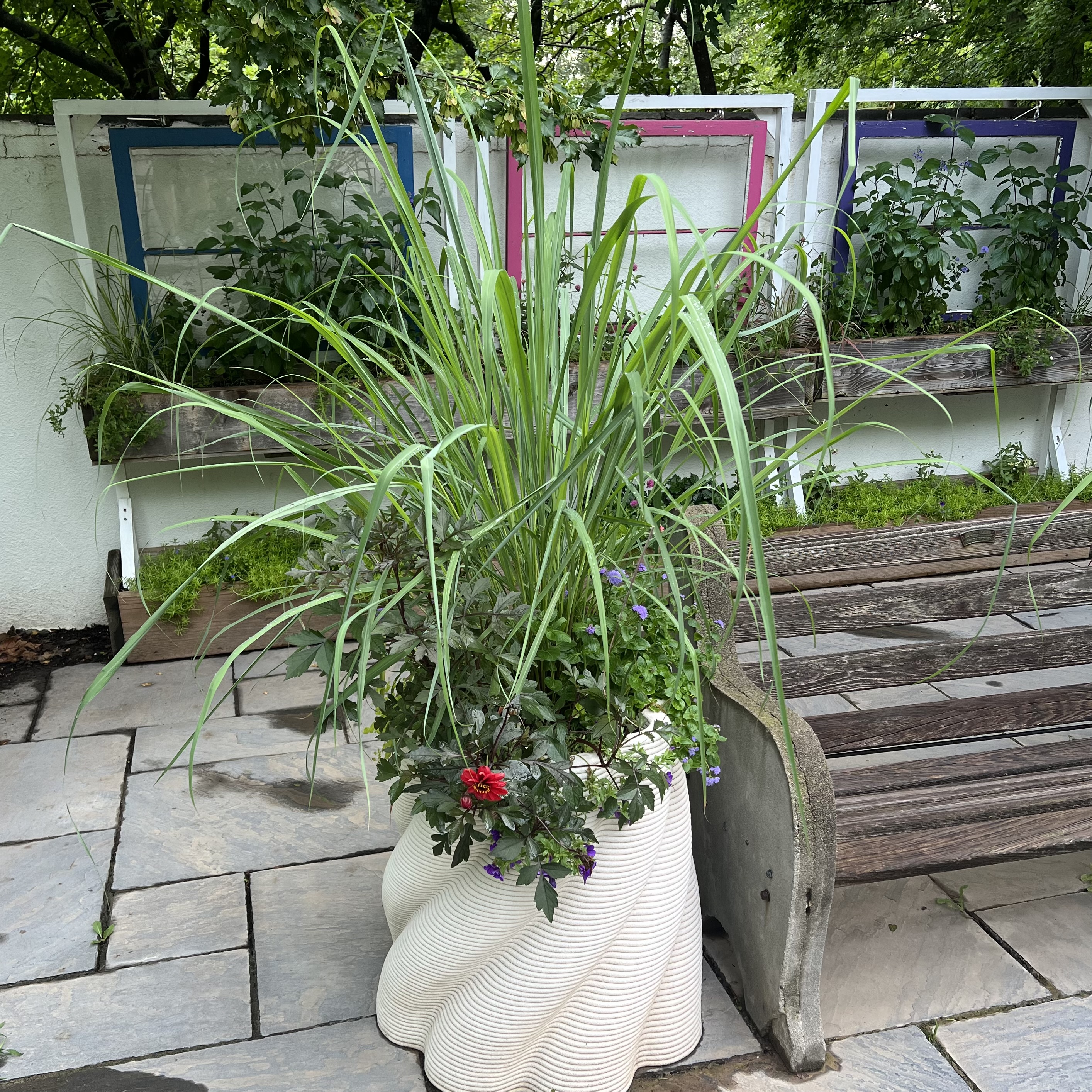a large, 3d printed container with a large lemongrass plant and colorful foliage/flowers