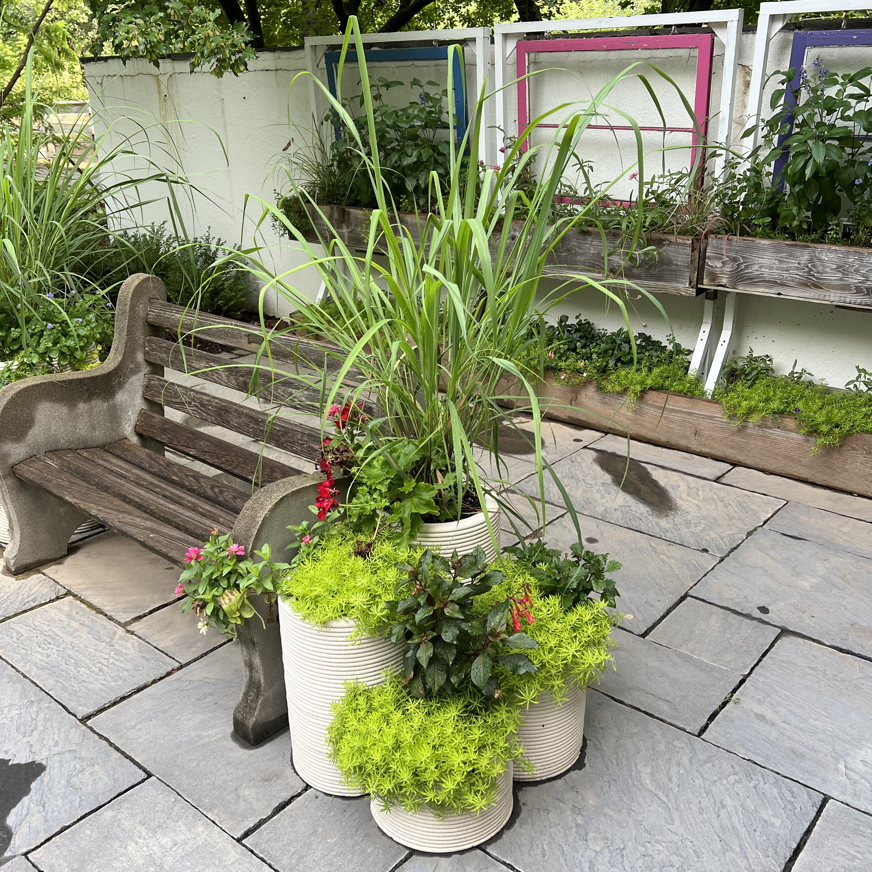 small, 3d printed containers with bright, interesting foliage and colorful flowers