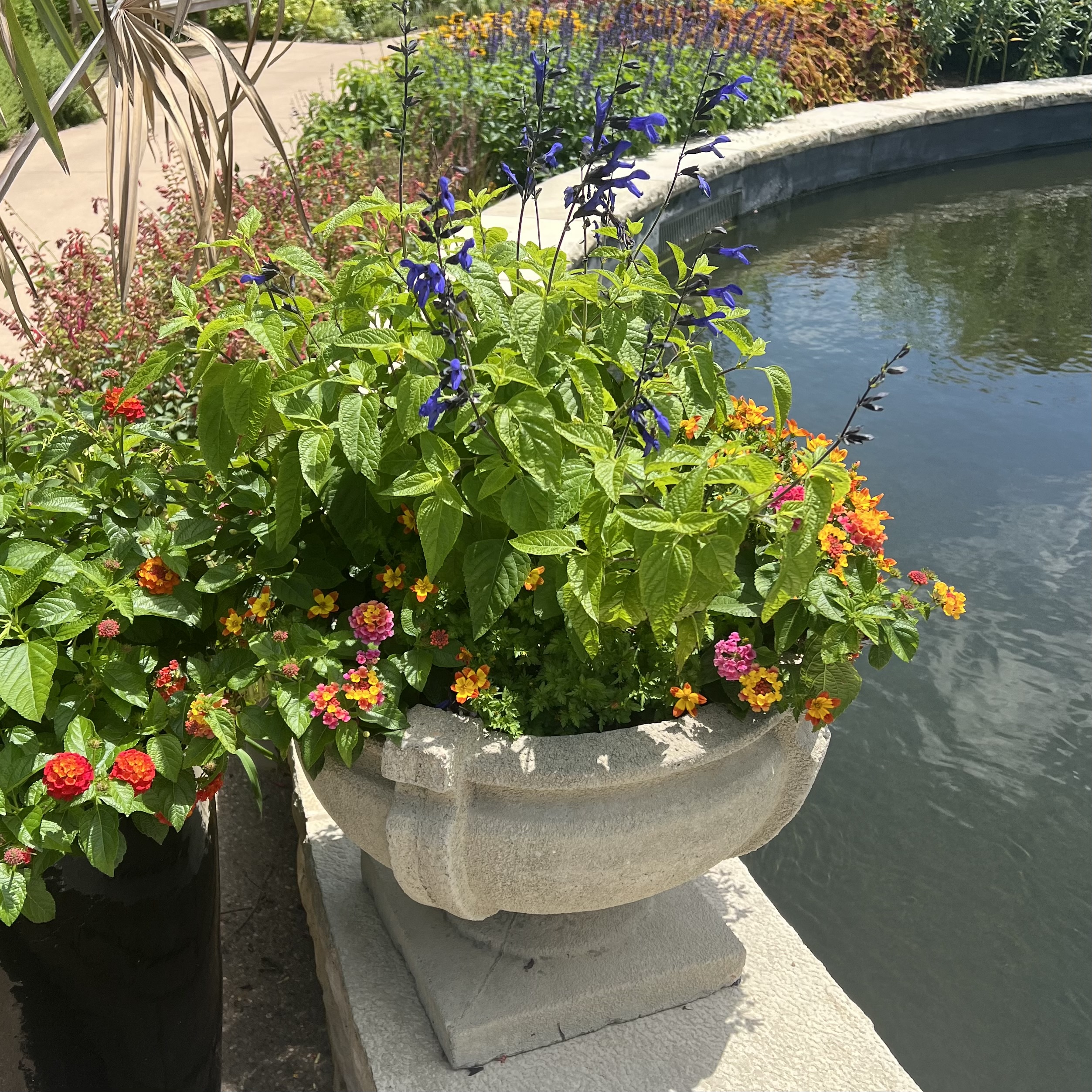 Two small urns on the edge of the reflection pool with colorful flowers
