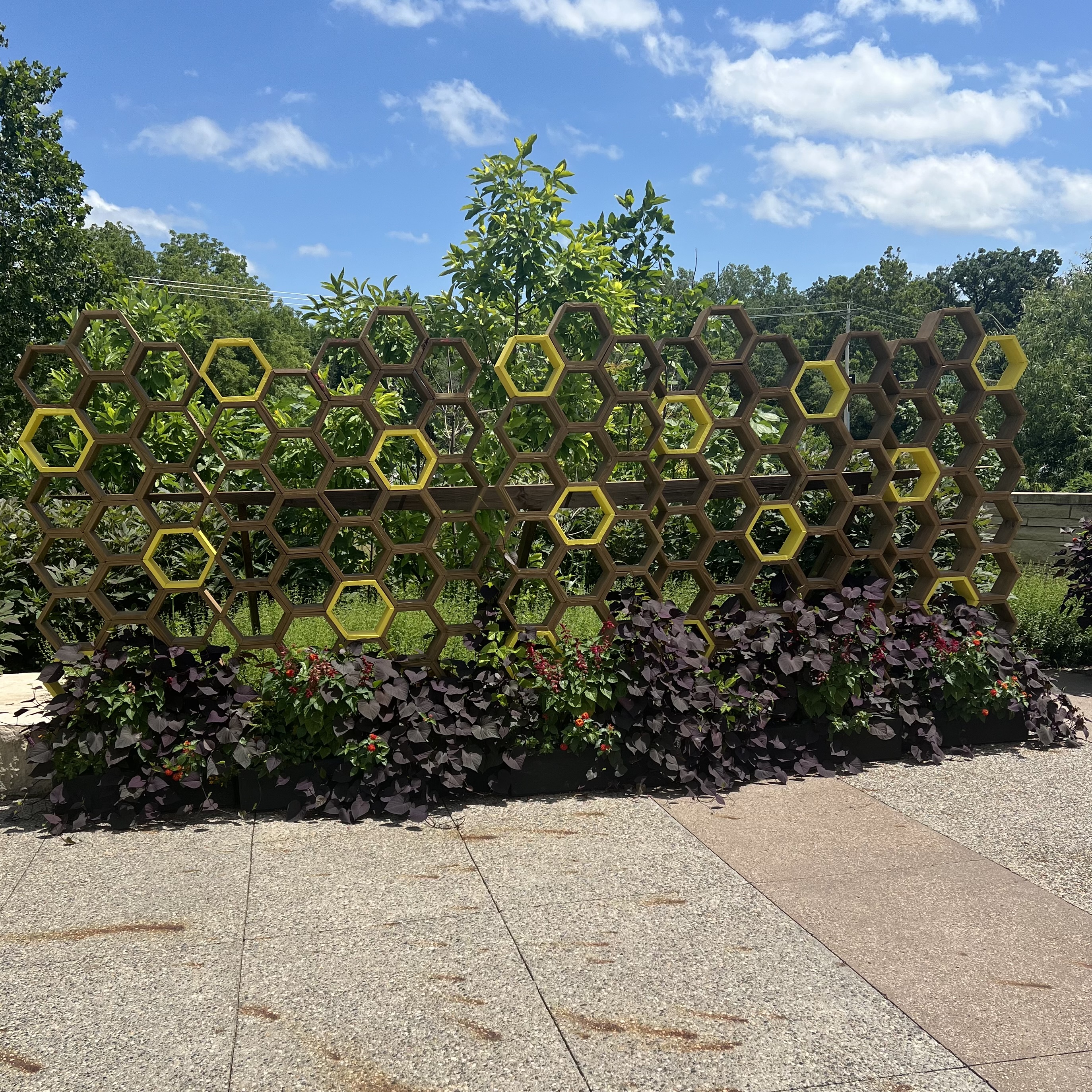 A display that looks like honeycomb with pollinator plants planted at the base