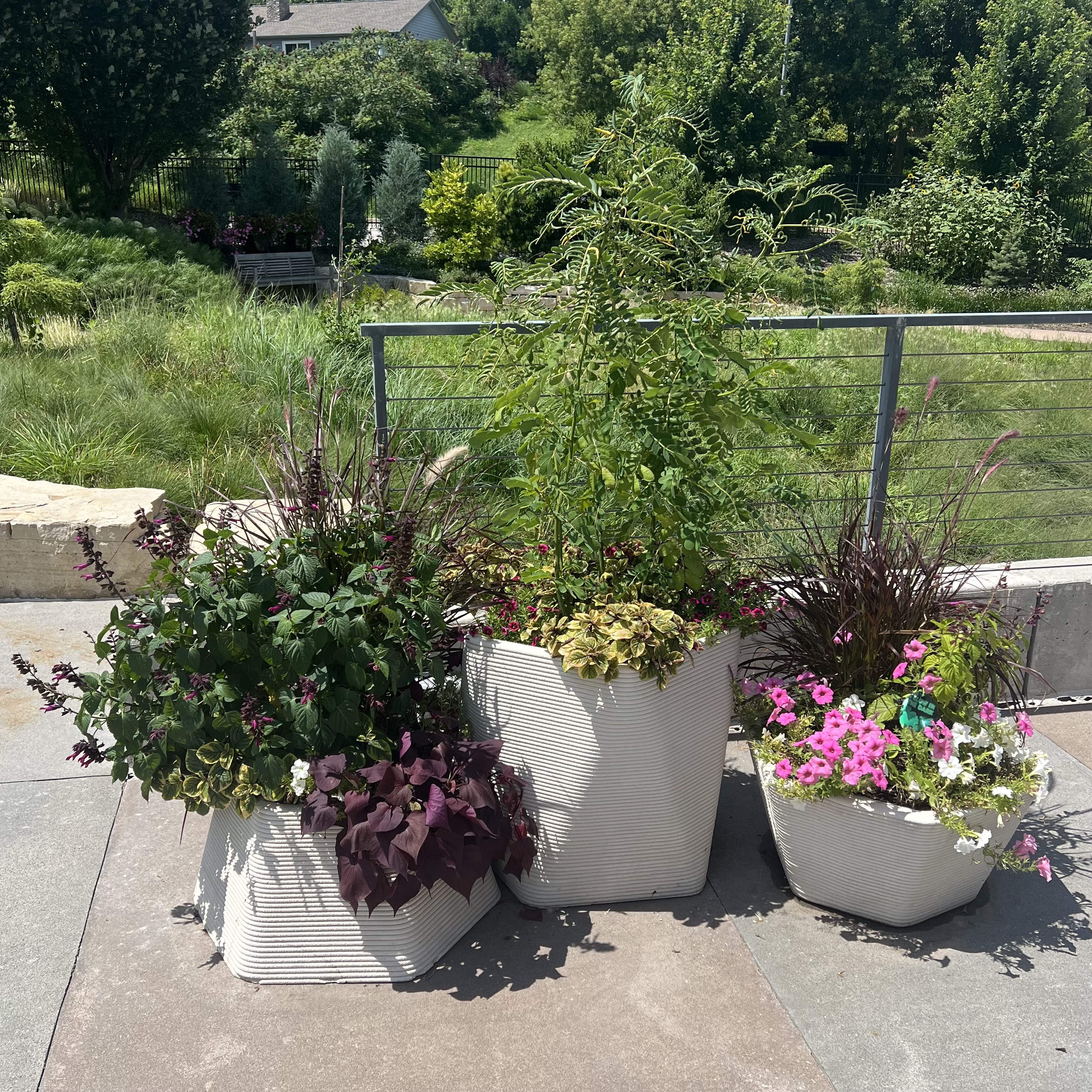 A group of 3D printer containers with a wide variety of flowers and interesting foliage
