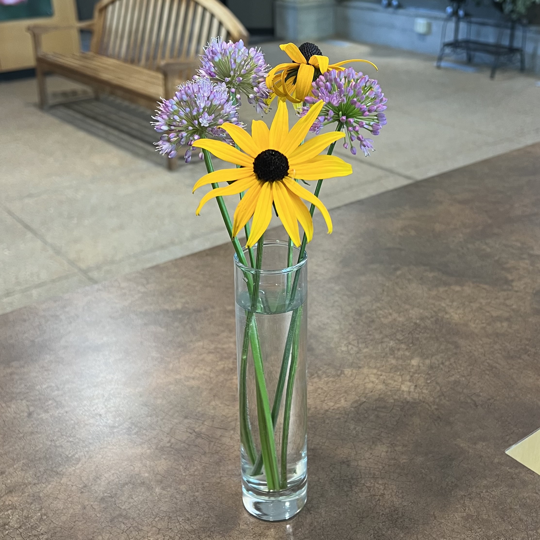 Black-eyed Susan and Alliums