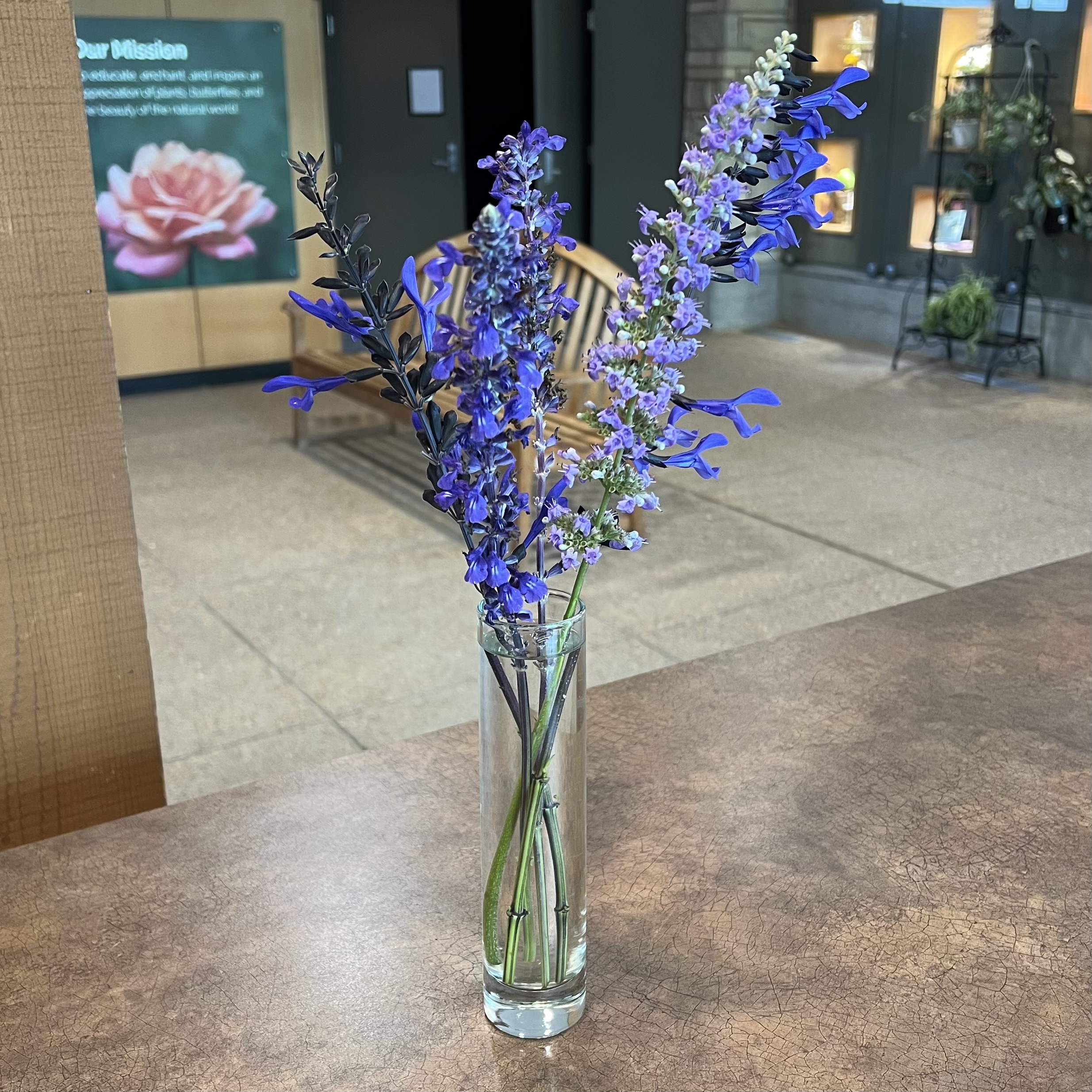 a bouquet of towering purple flowers