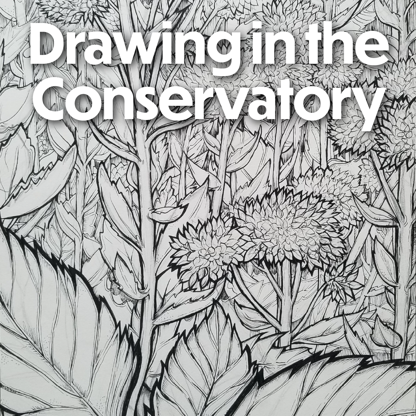 Drawing in the Conservatory