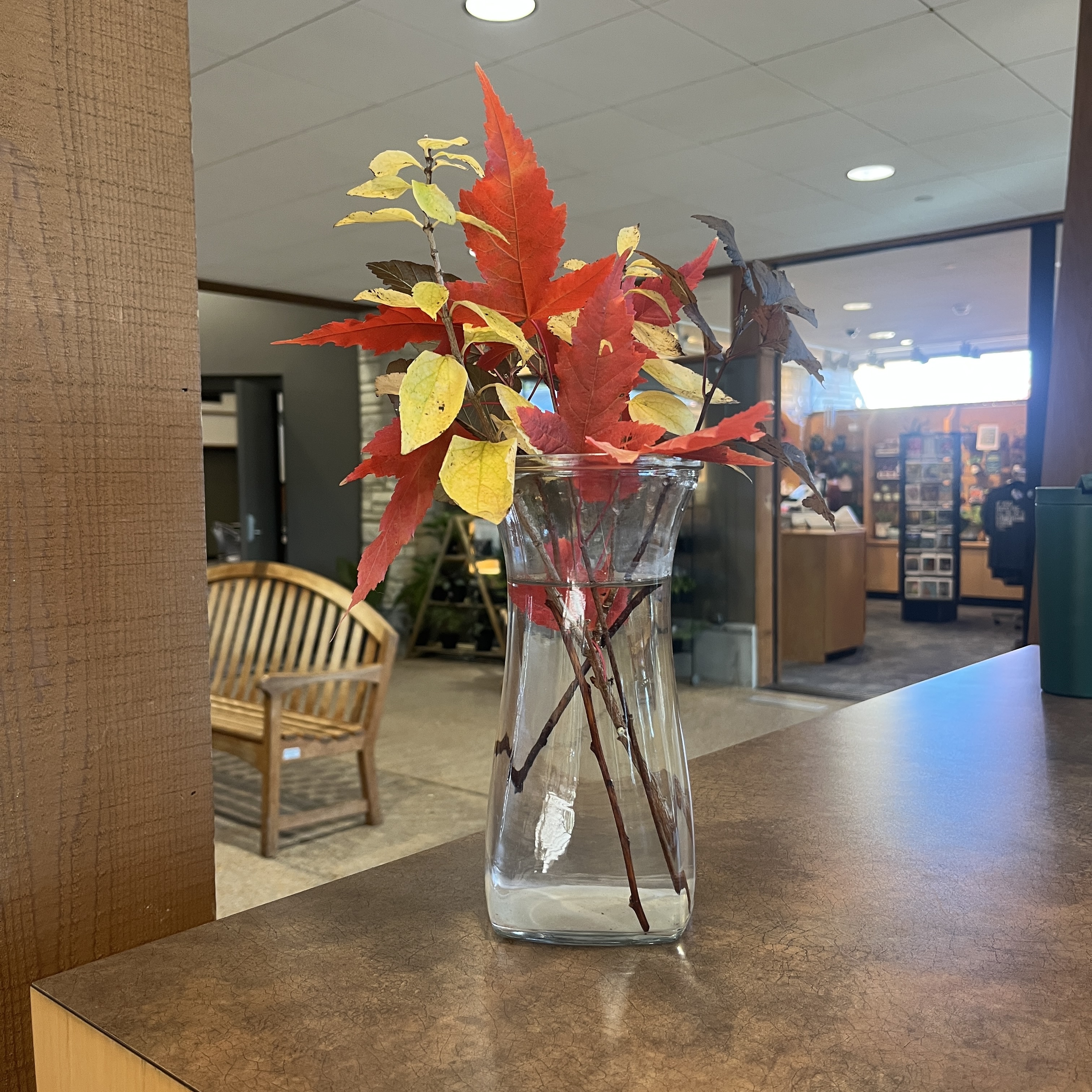 Bouquet with colorful leaves. 