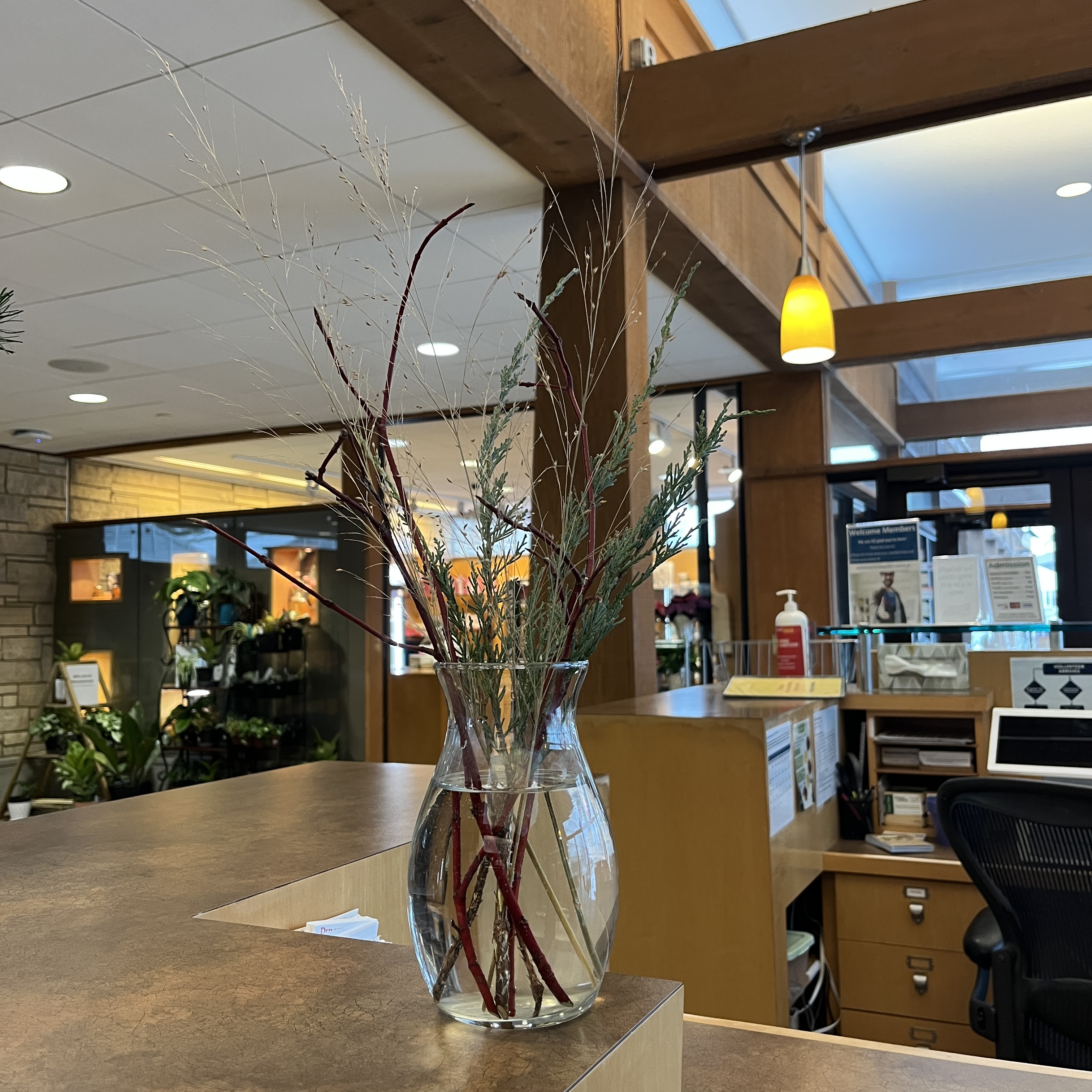 Bouquet with greenery, grasses, and red-colored sticks. 
