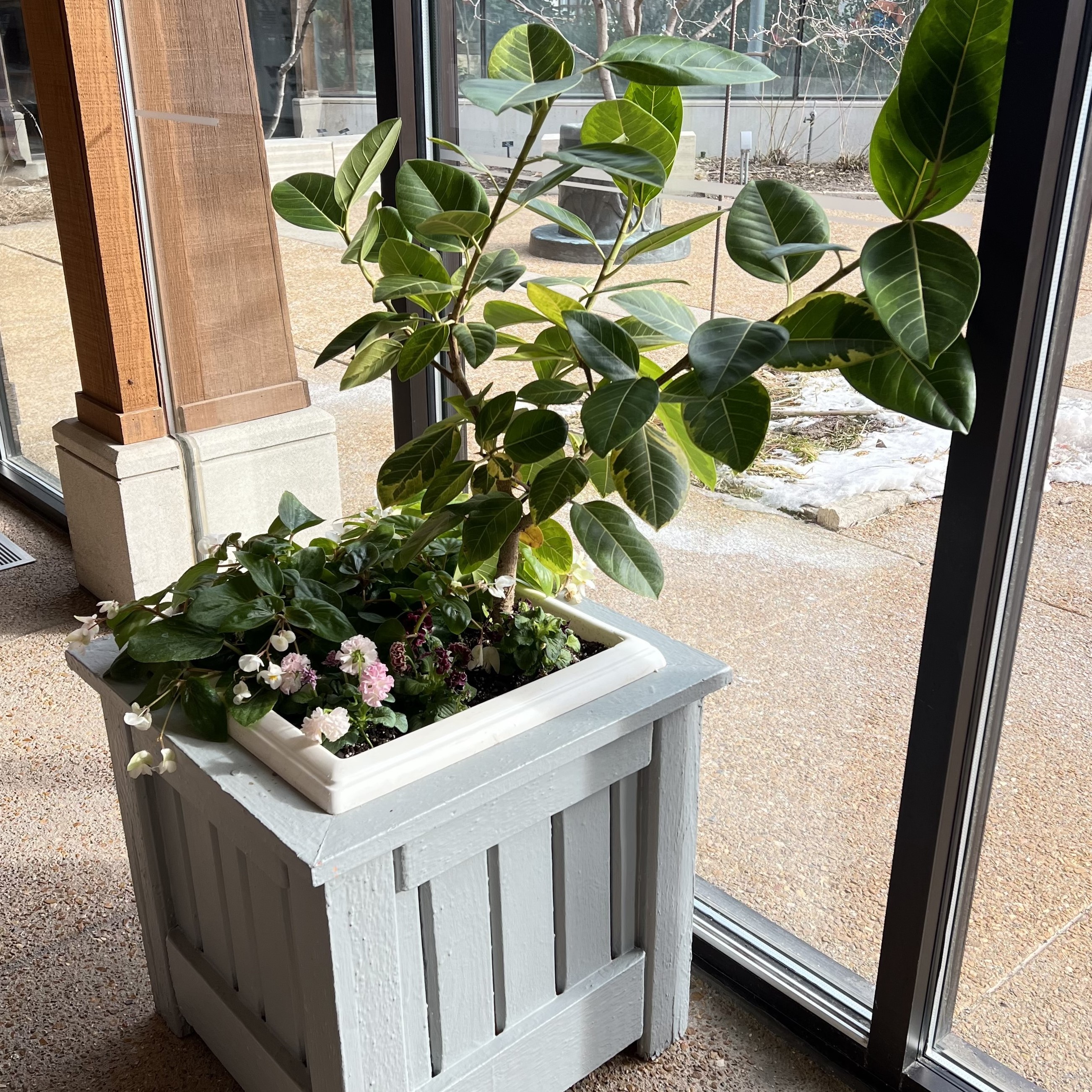 a square, wood container with tall ginger and small, colorful blooms
