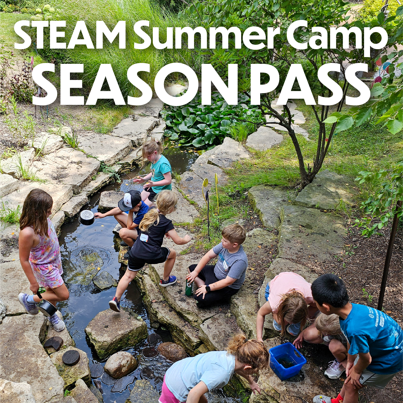 STEAM Summer Camp Season Pass, Children playing in nature