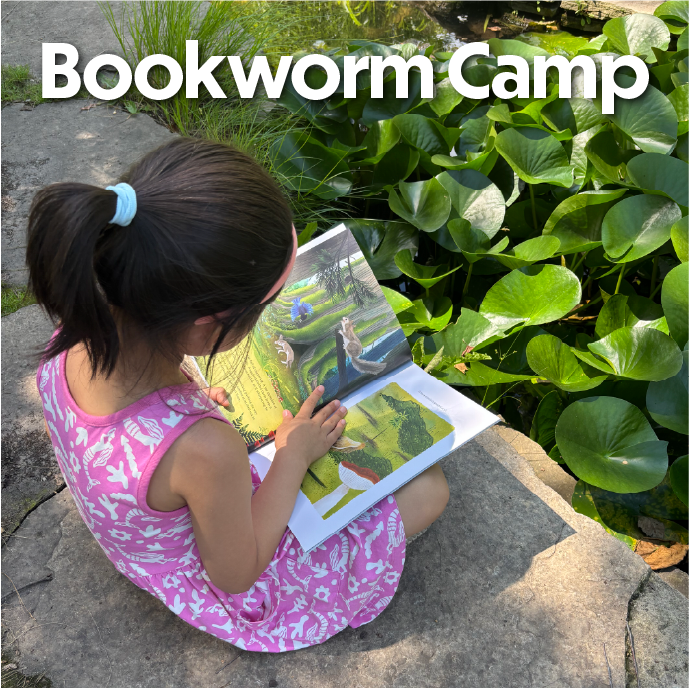 Young girl reading a book in a garden