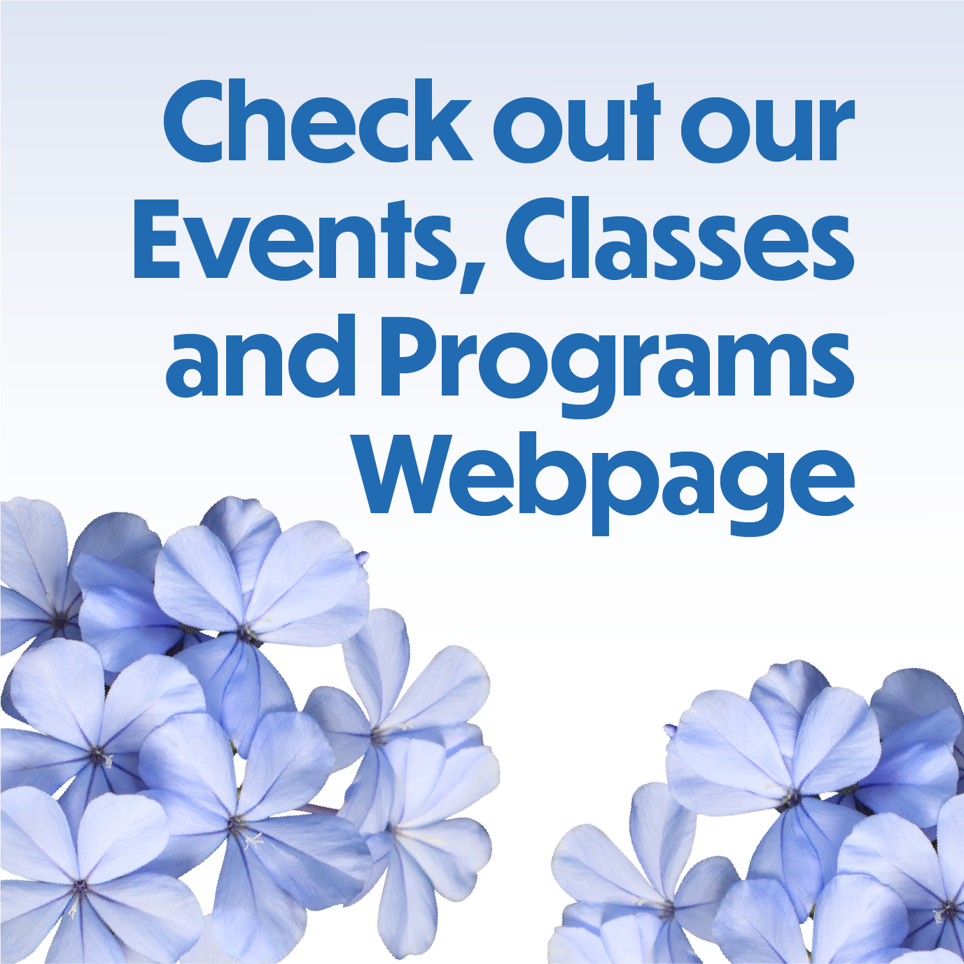 Check out our events, classes and programs webpage