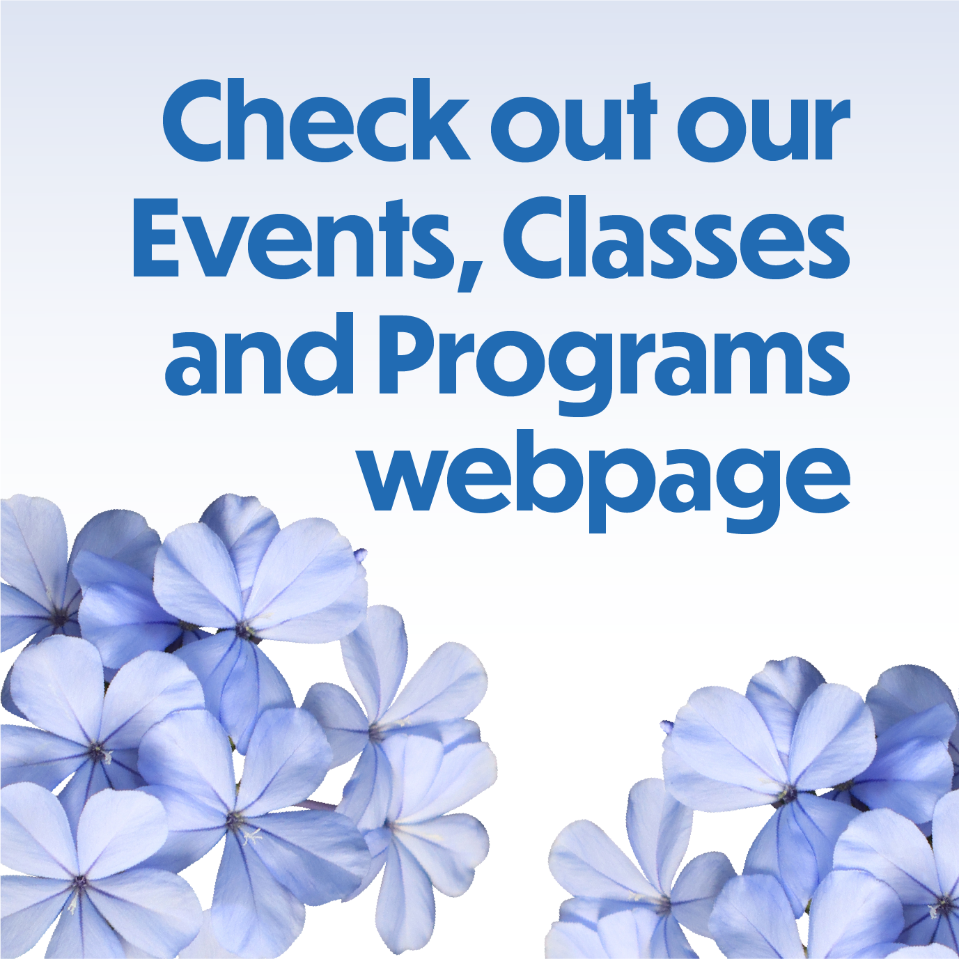 Check out our events, classes and programs webpage