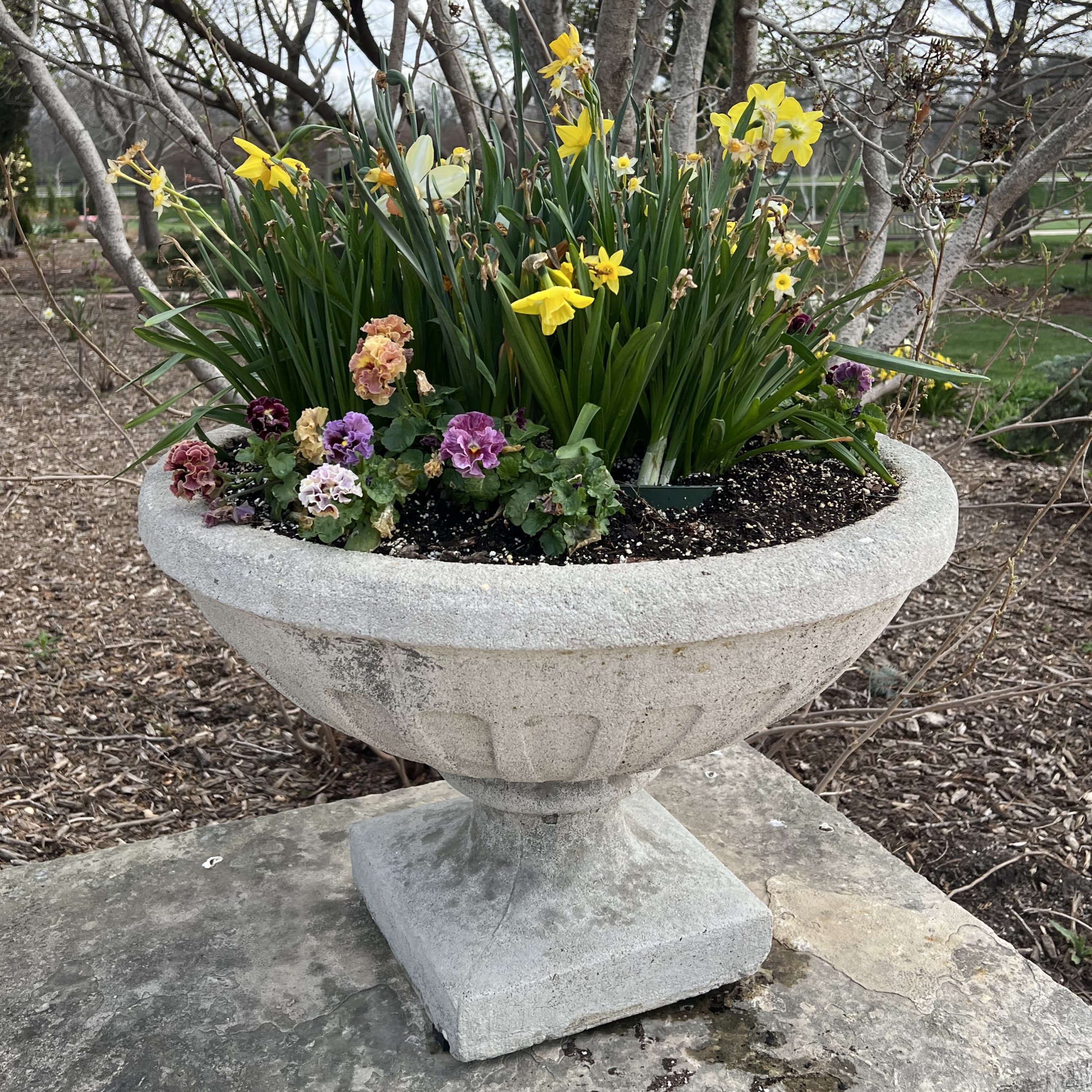 a small stone container with daffodils and pansies