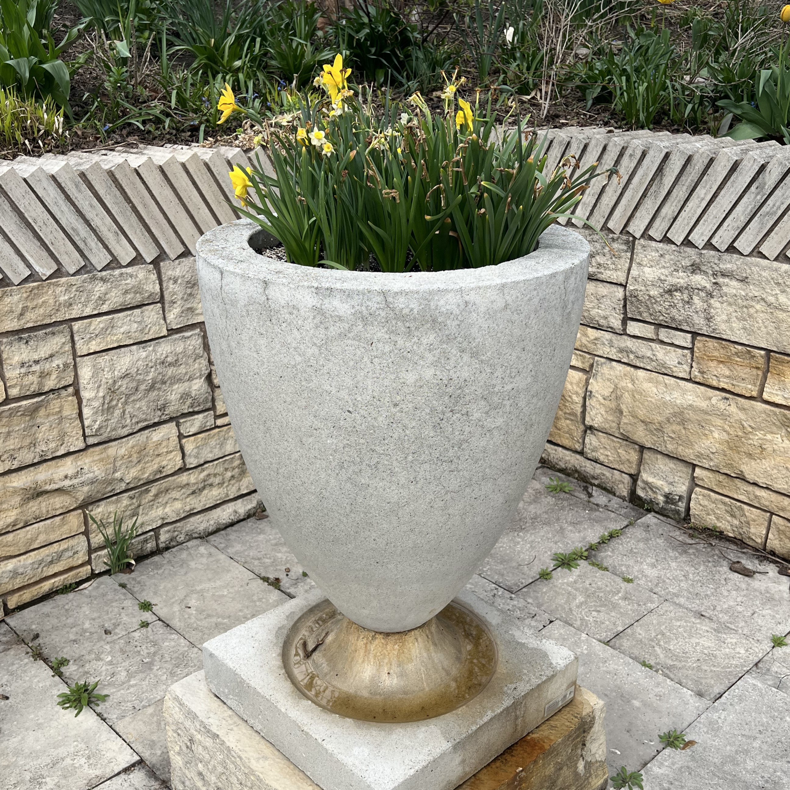 a large stone container with daffodils