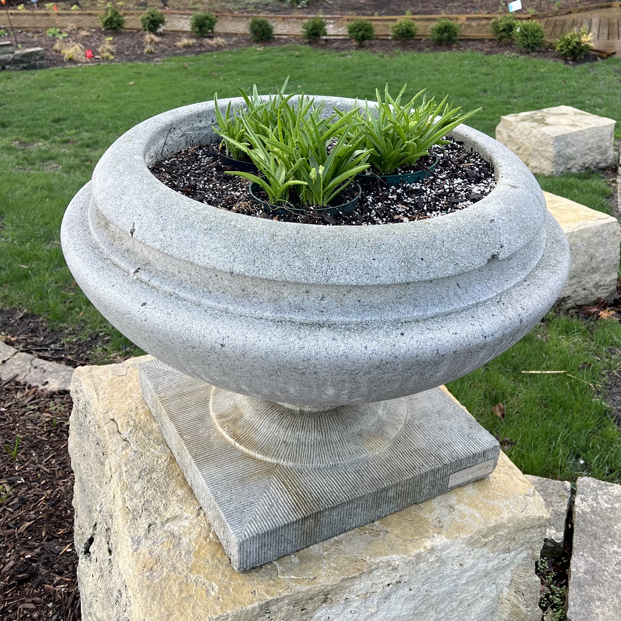 small stone containers with spanish bluebells