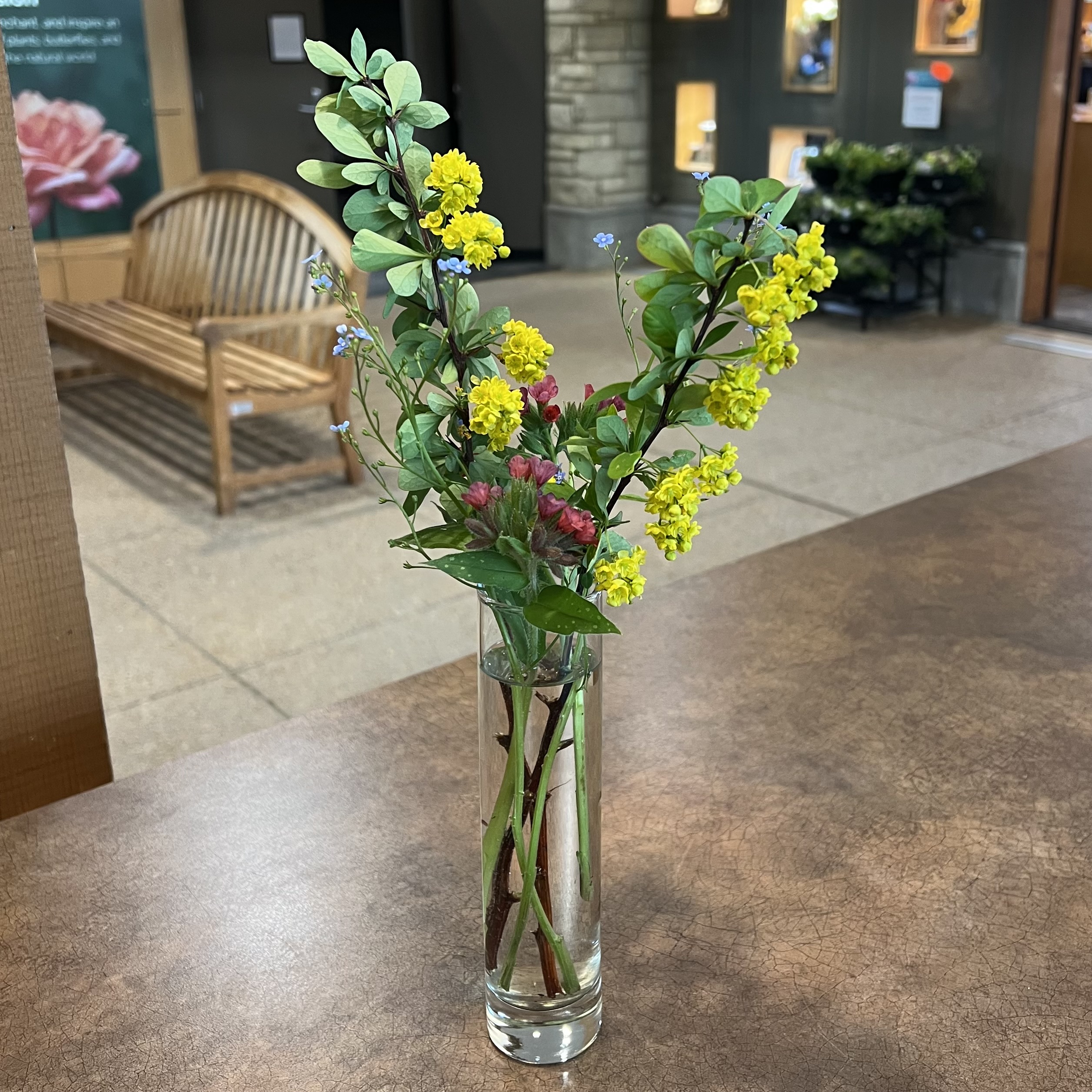 blue, yellow, and pink flowers with eother large thorns or tiny fuzzy thorns