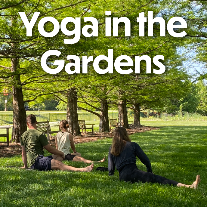 Yoga in the Gardens