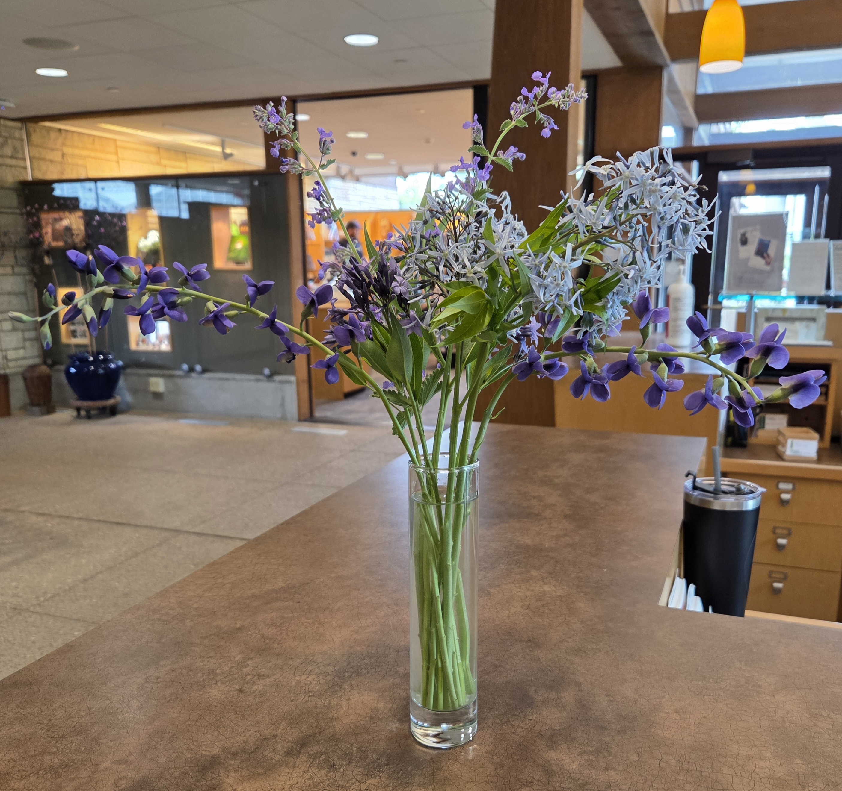 An arrangement of purple blooms; includes Baptisia, Blue Star, and Catmint