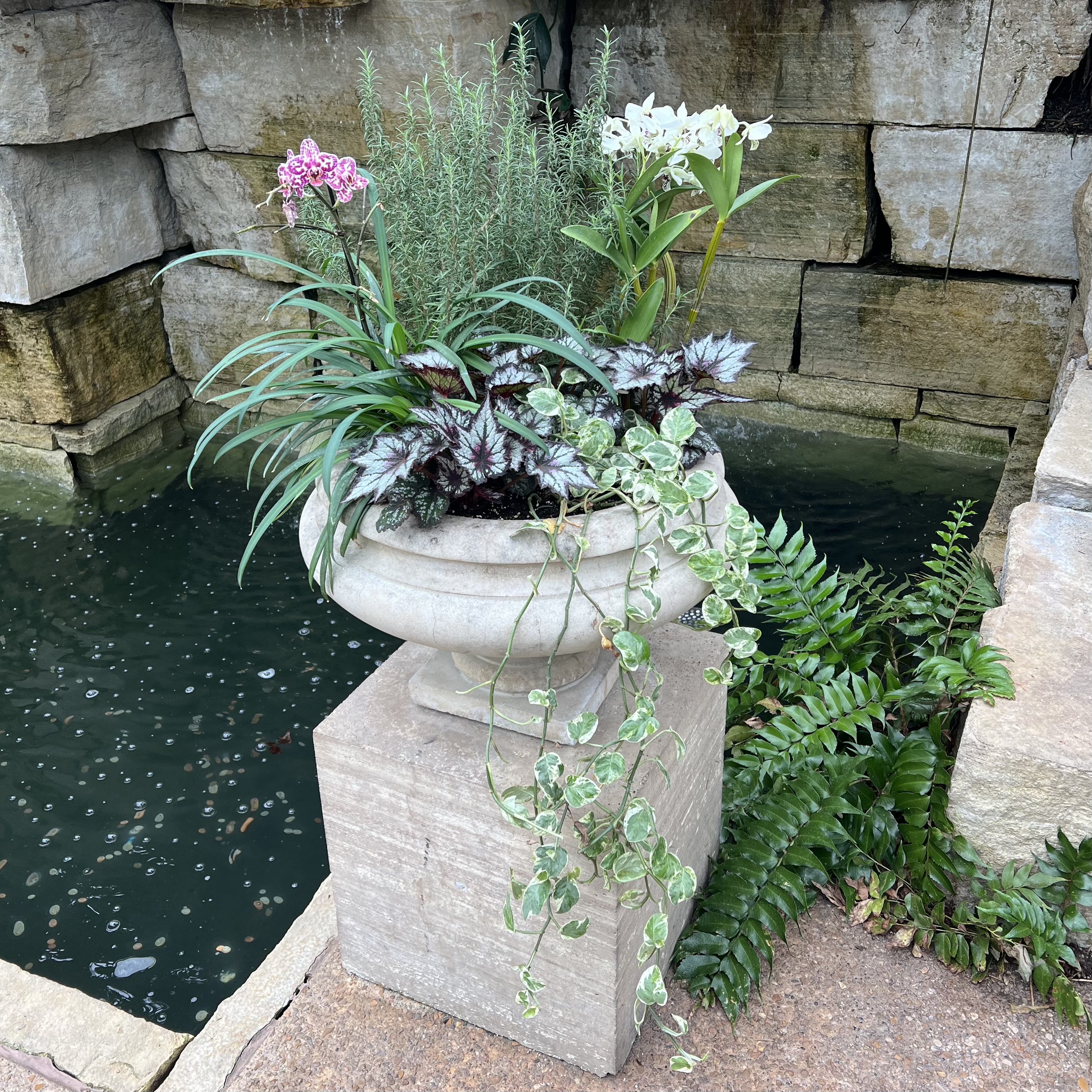 a stone container with orchids and various colorful, textured, and trailing foliage