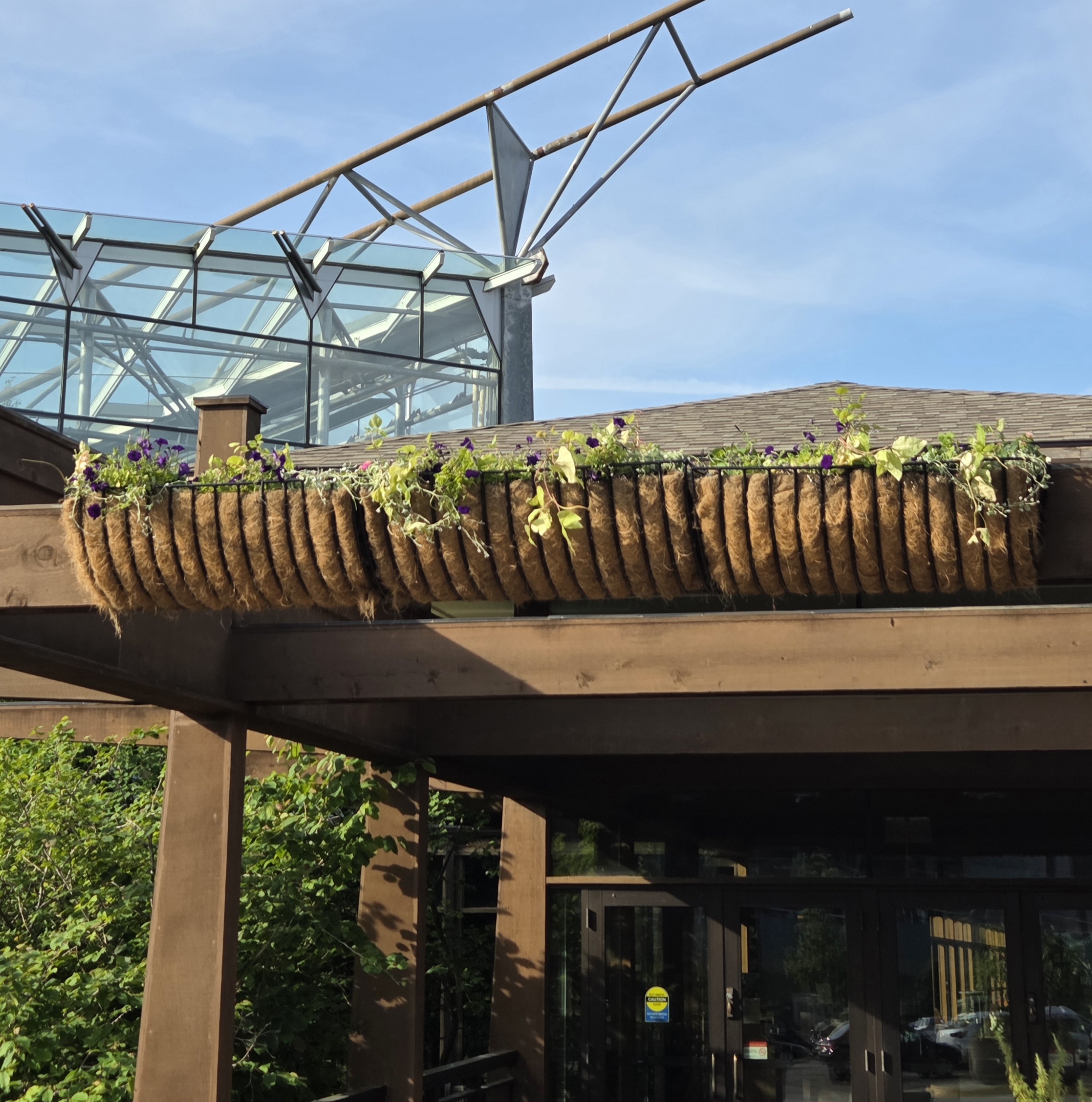 Hanging baskets with multiple small plants