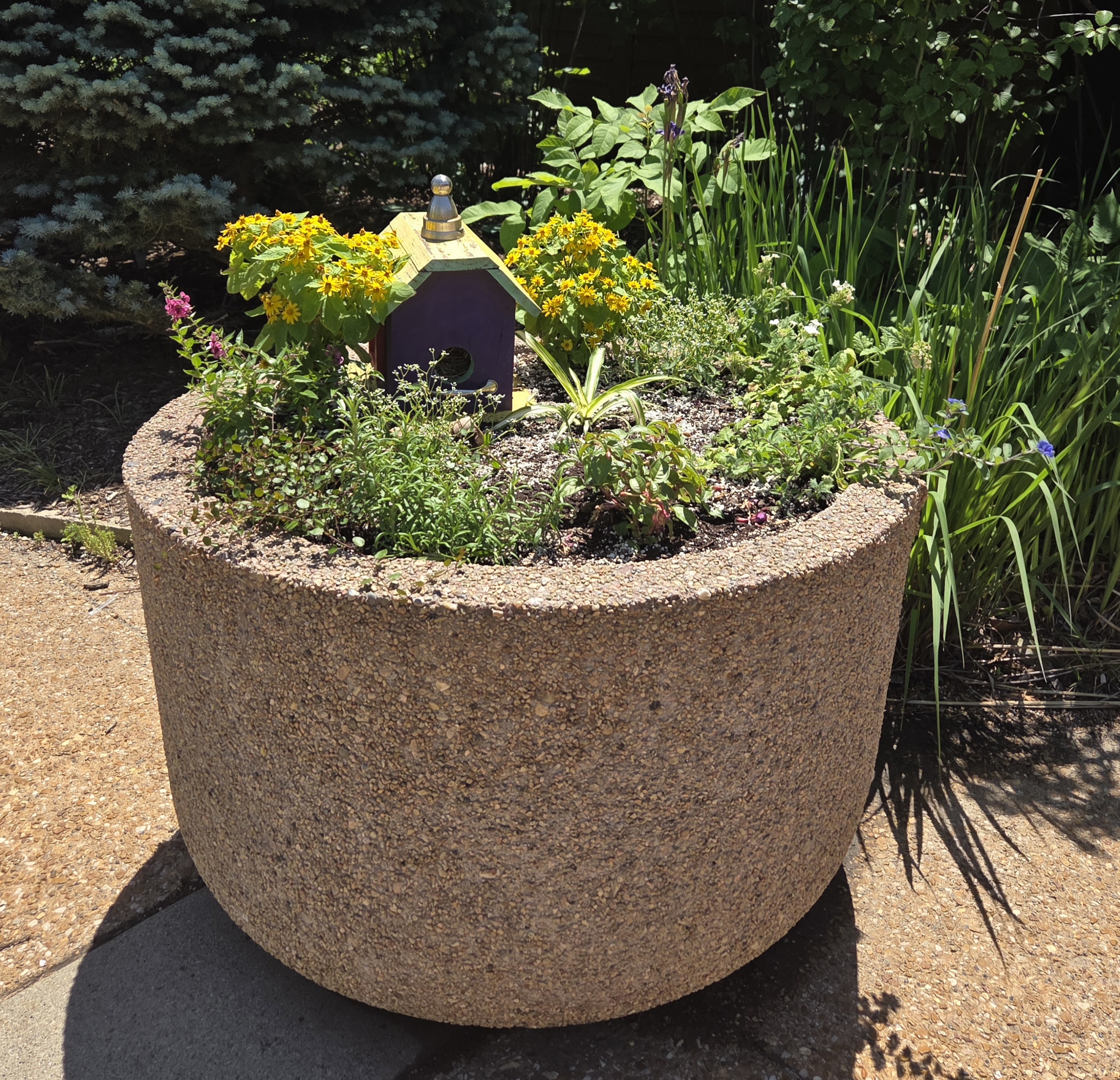 Concrete container with a birdhouse and multiple plants